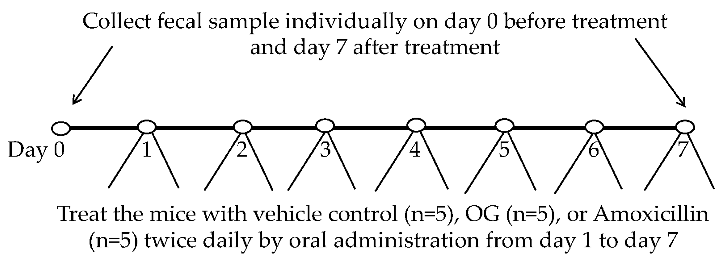 Antibiotics 13 00731 g009