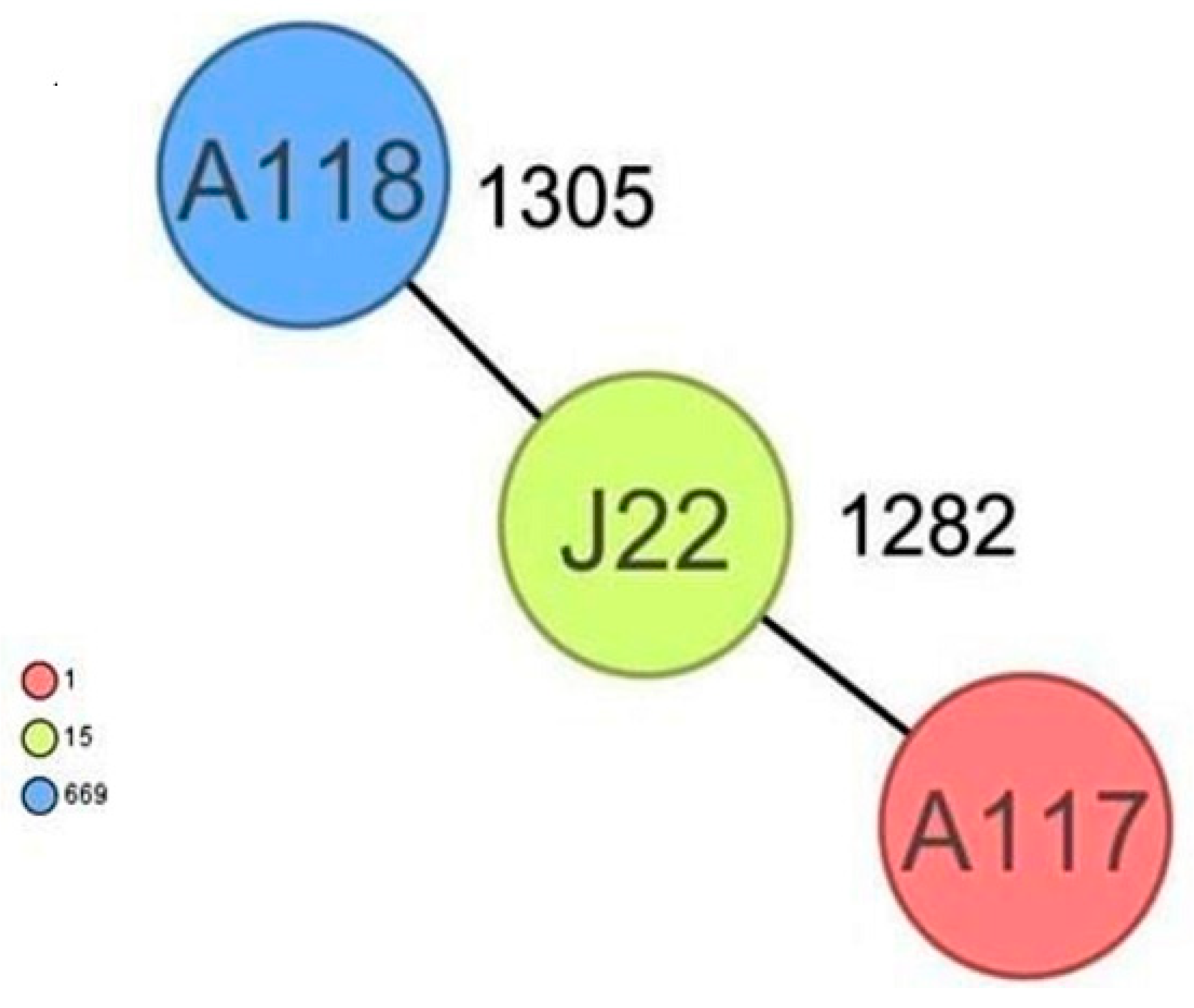 Antibiotics 13 00733 g002
