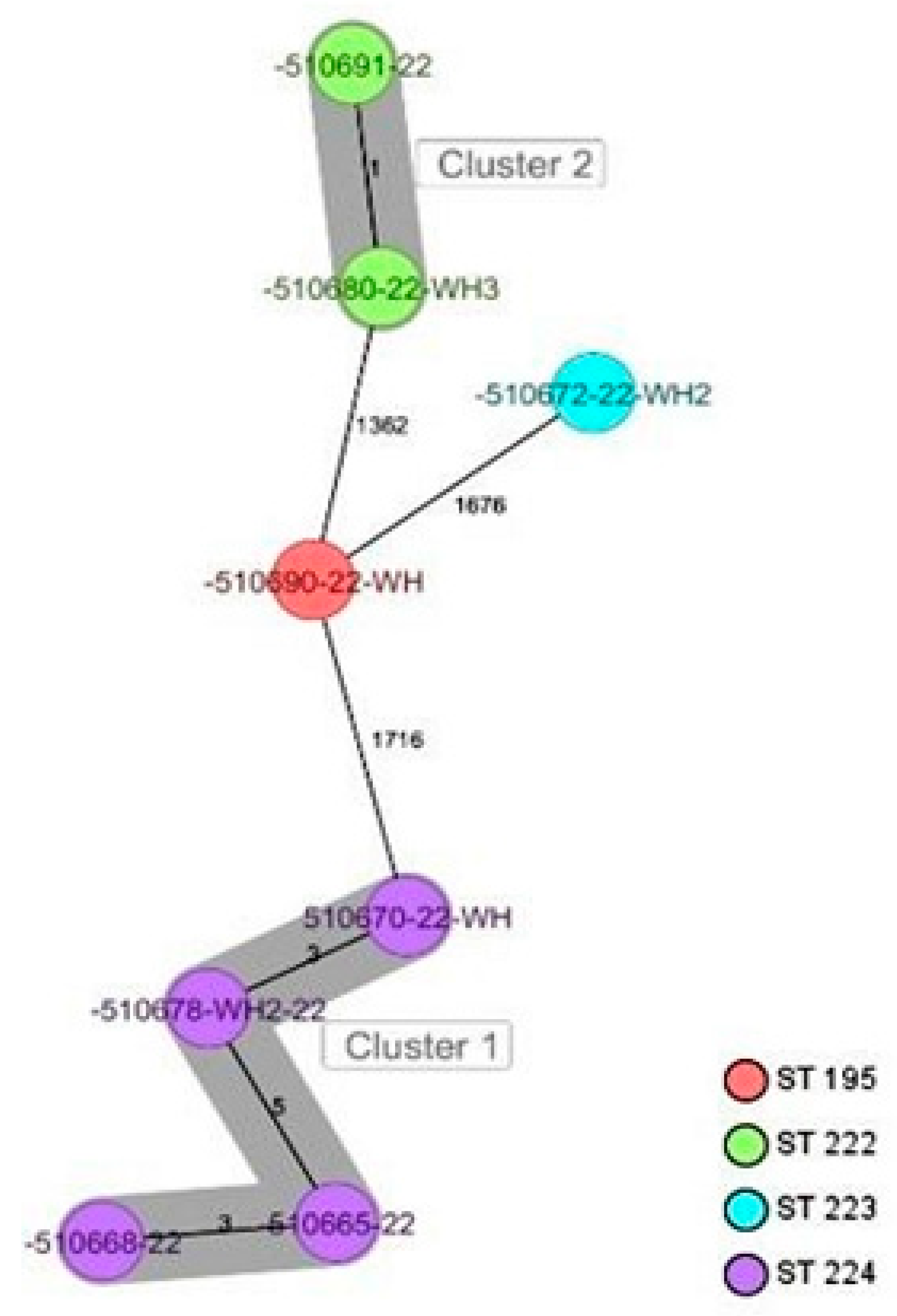 Antibiotics 13 00733 g004