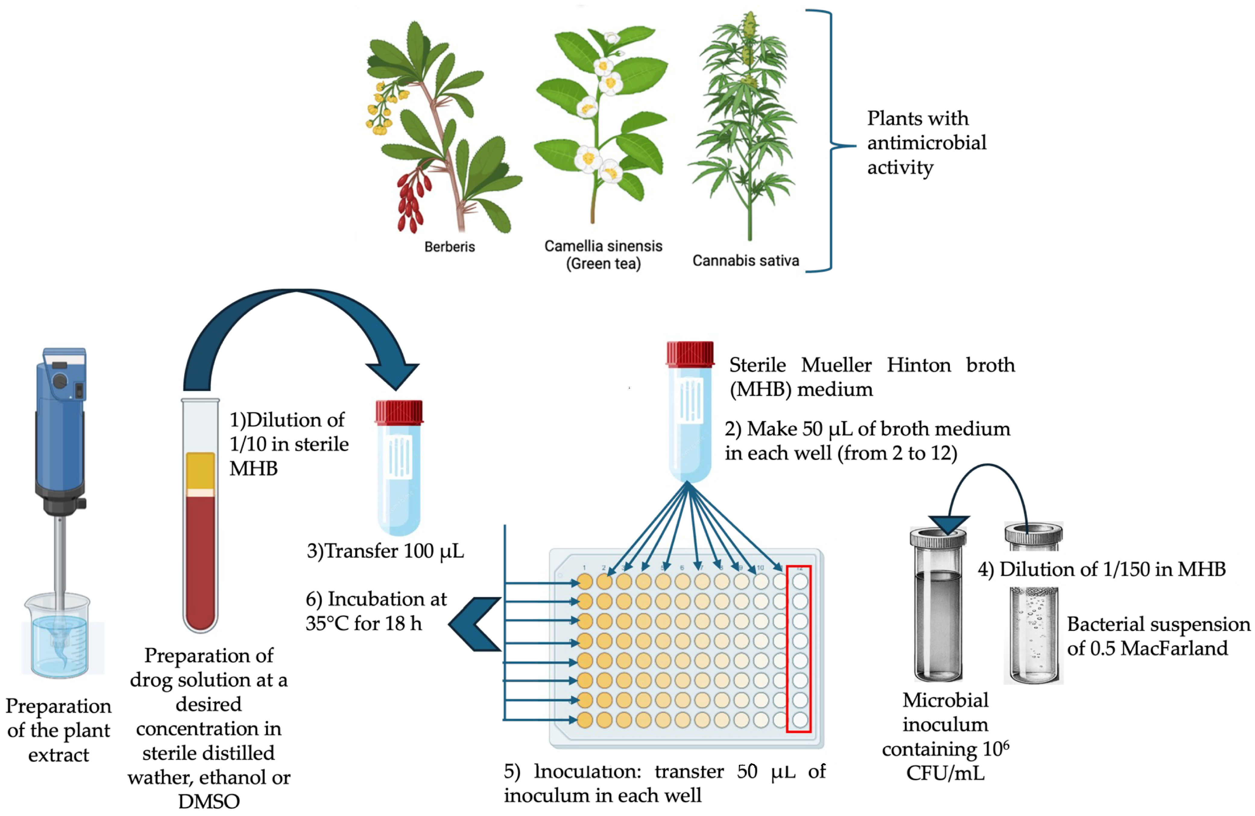 Antibiotics 13 00746 g001 Antibiotics 13 00746 g001