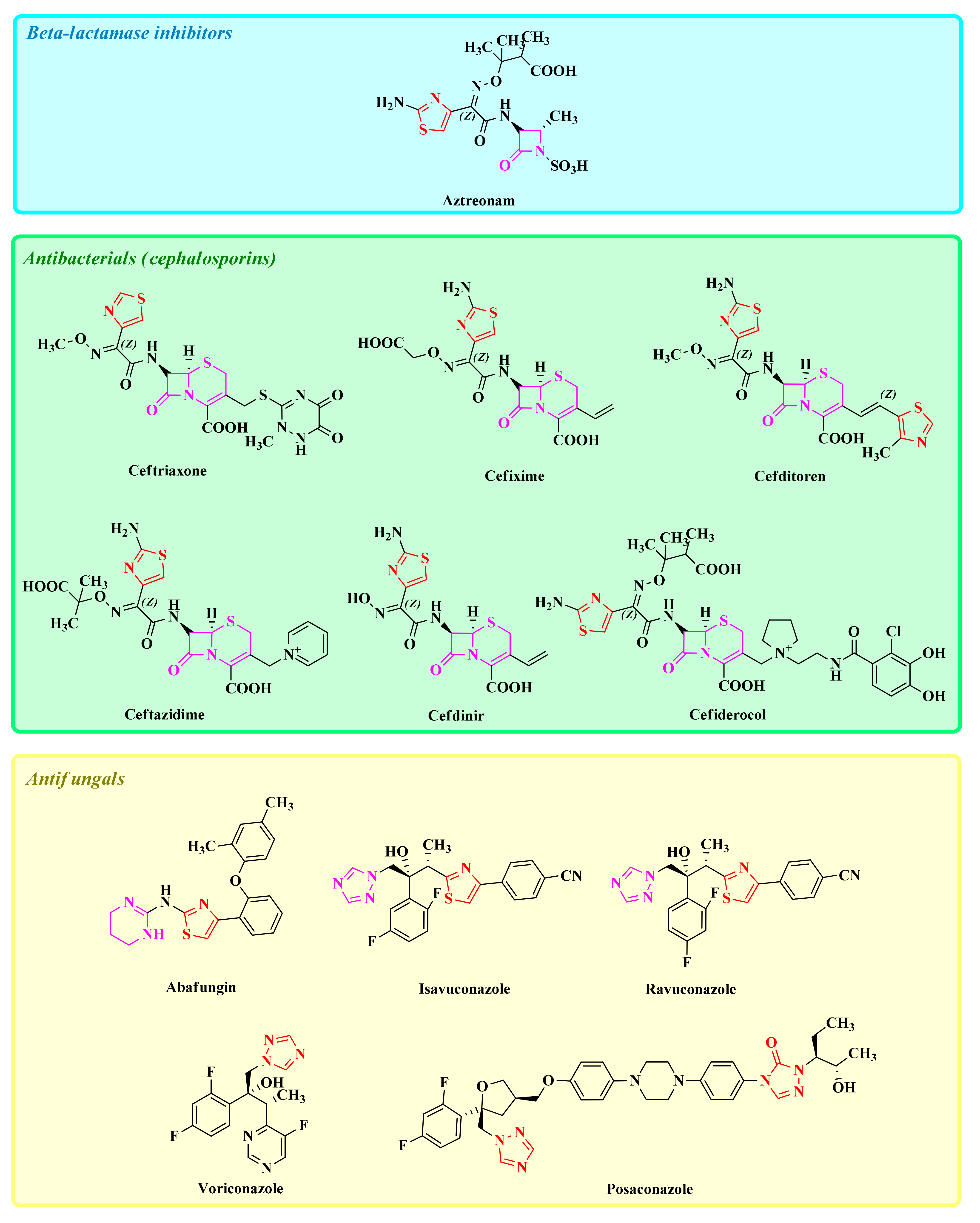 Antibiotics 13 00763 g001