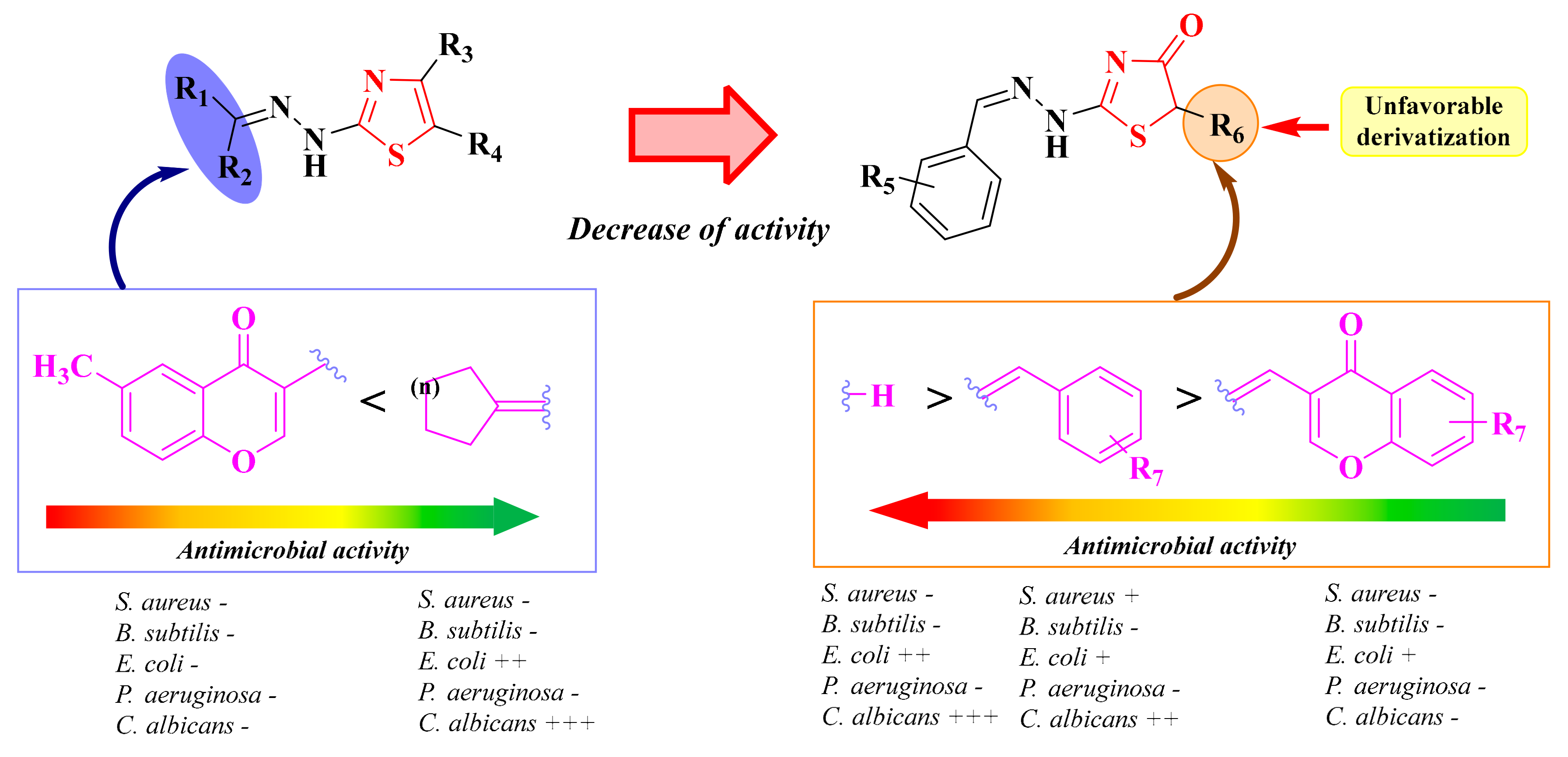 Antibiotics 13 00763 g012