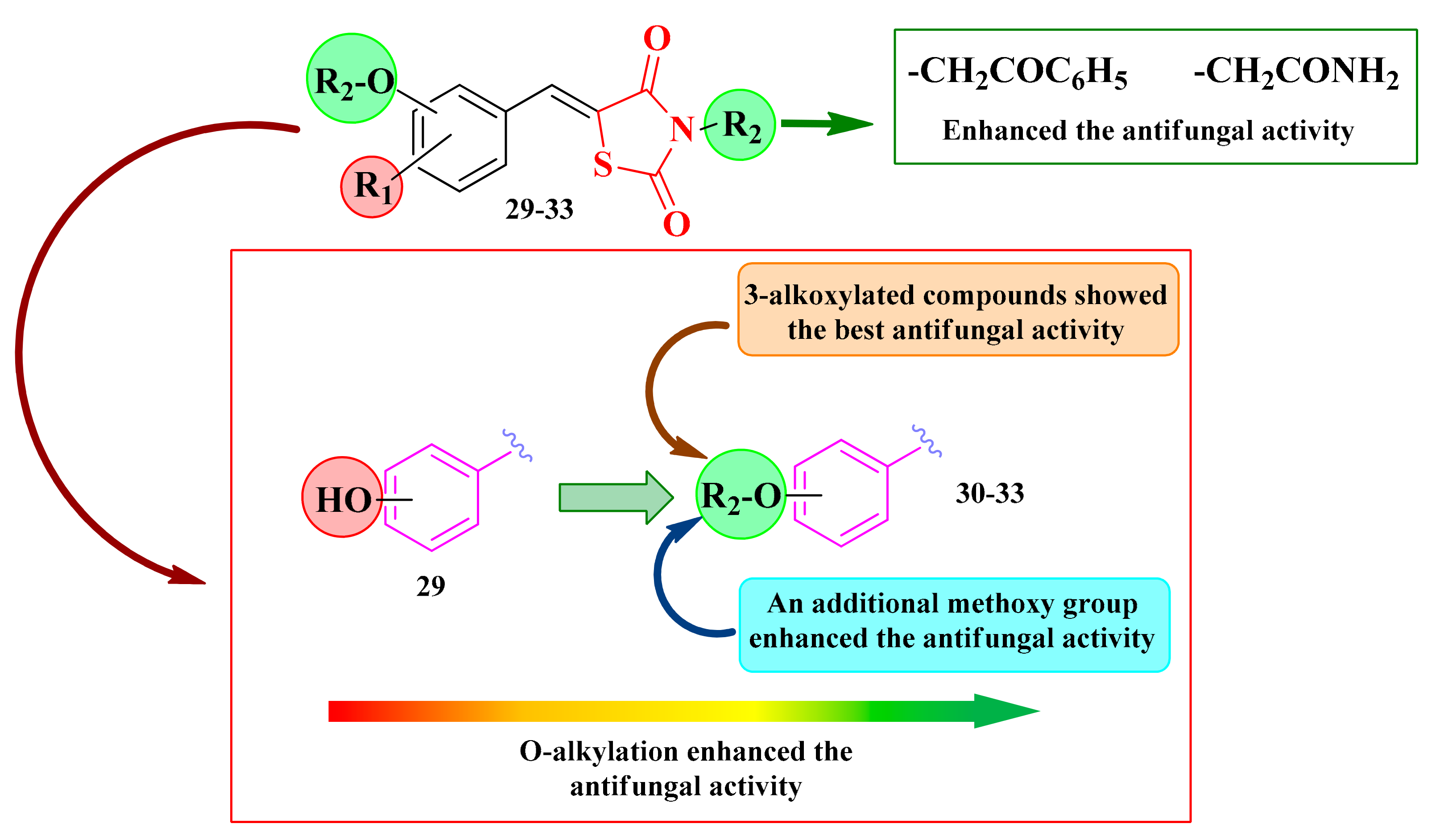 Antibiotics 13 00763 g016