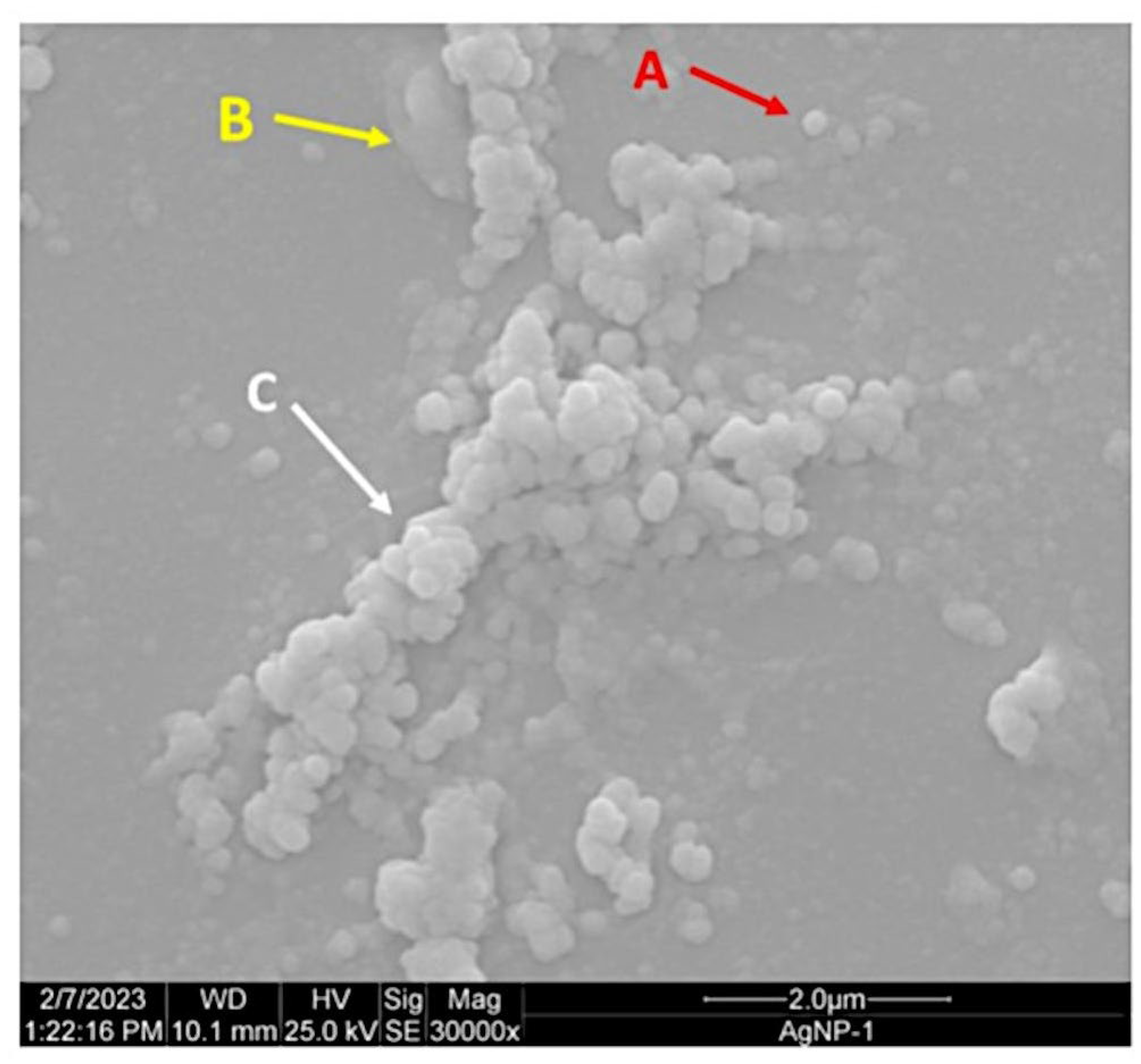 Antibiotics 13 00777 g007