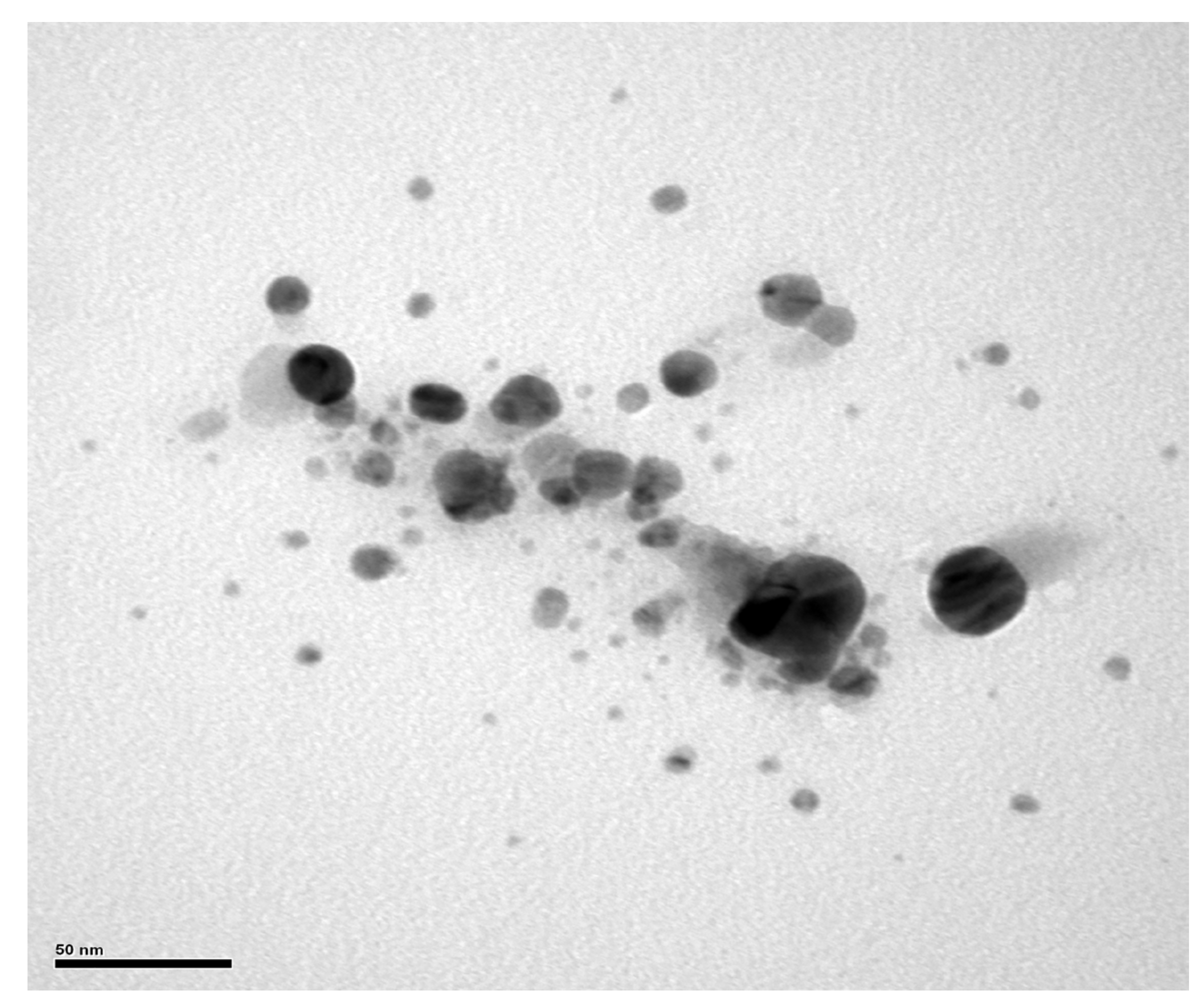Antibiotics 13 00777 g008