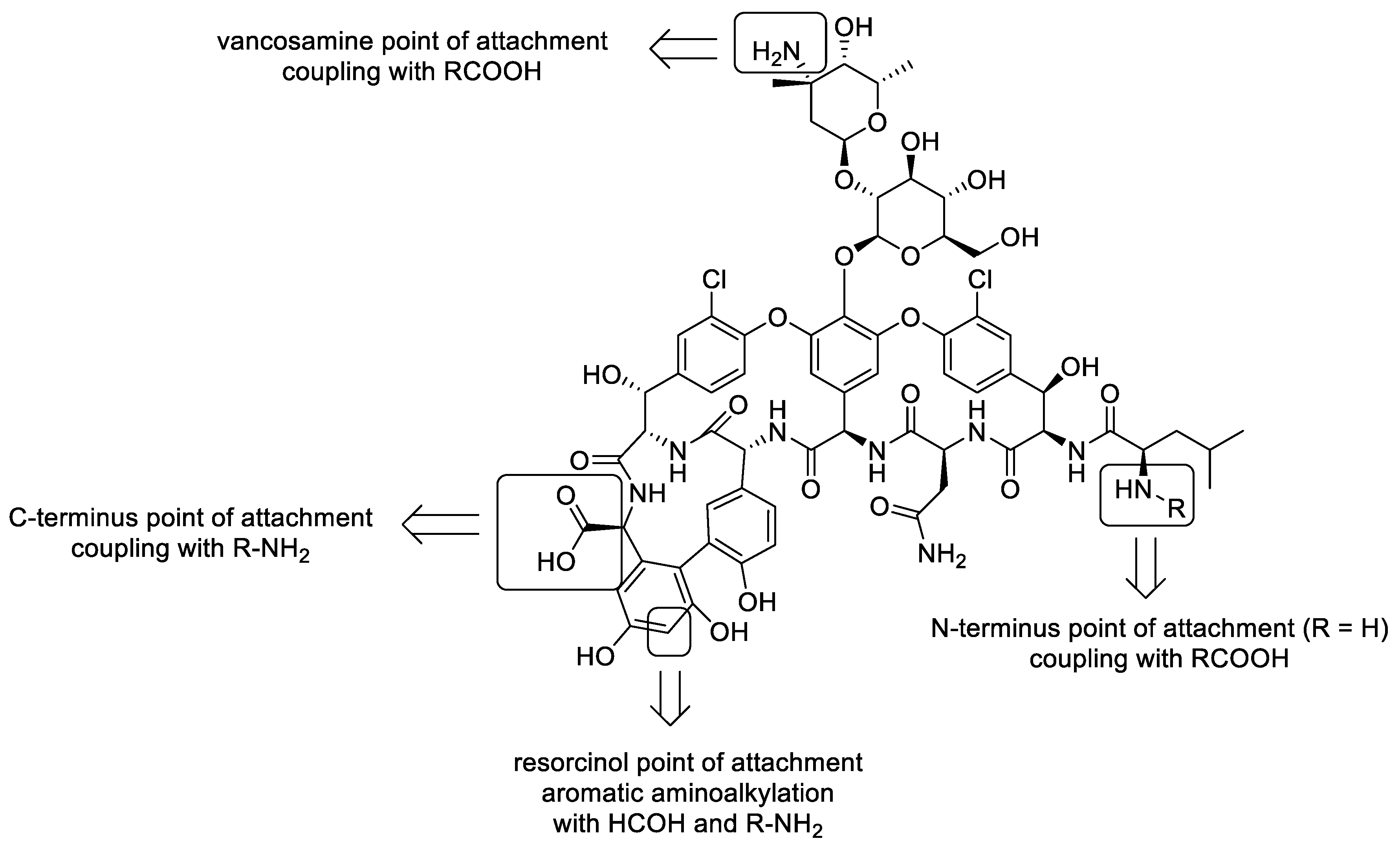 Antibiotics 13 00783 g002 Antibiotics 13 00783 g002