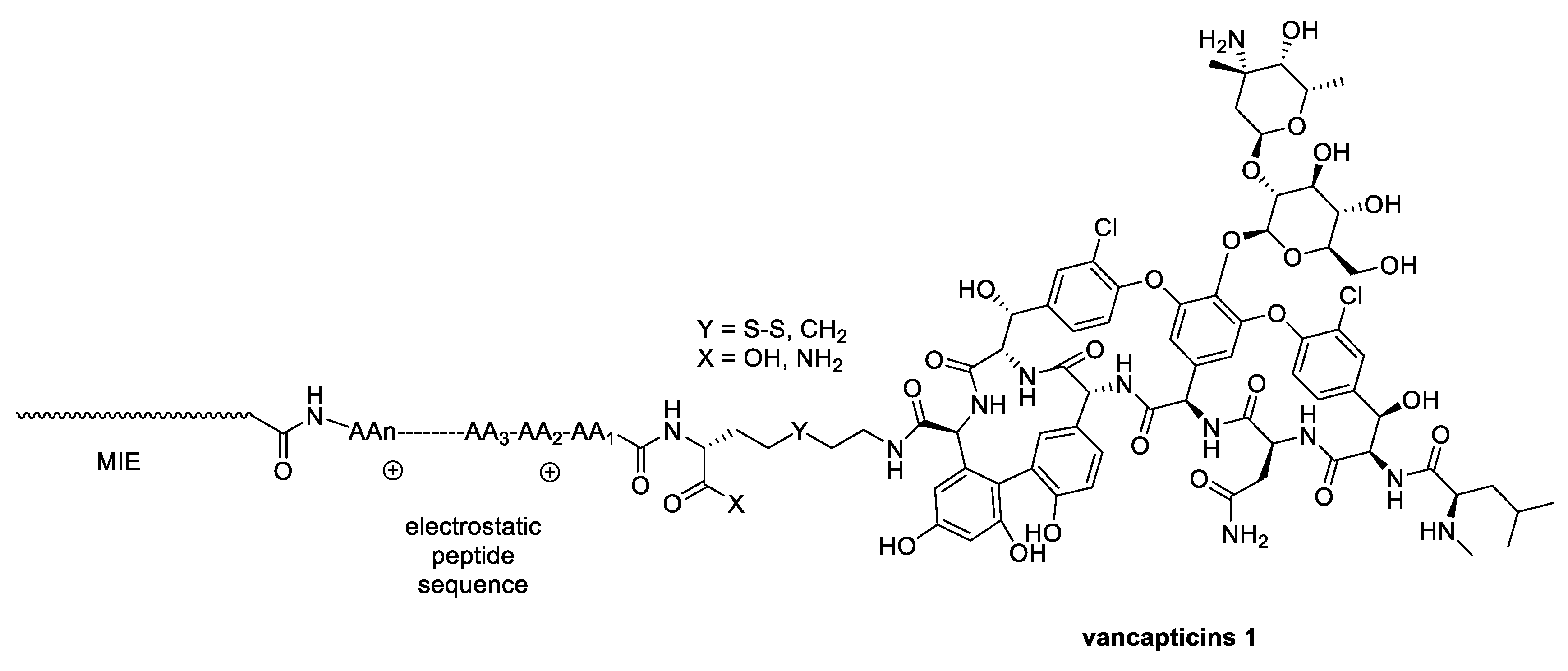Antibiotics 13 00783 g003 Antibiotics 13 00783 g003