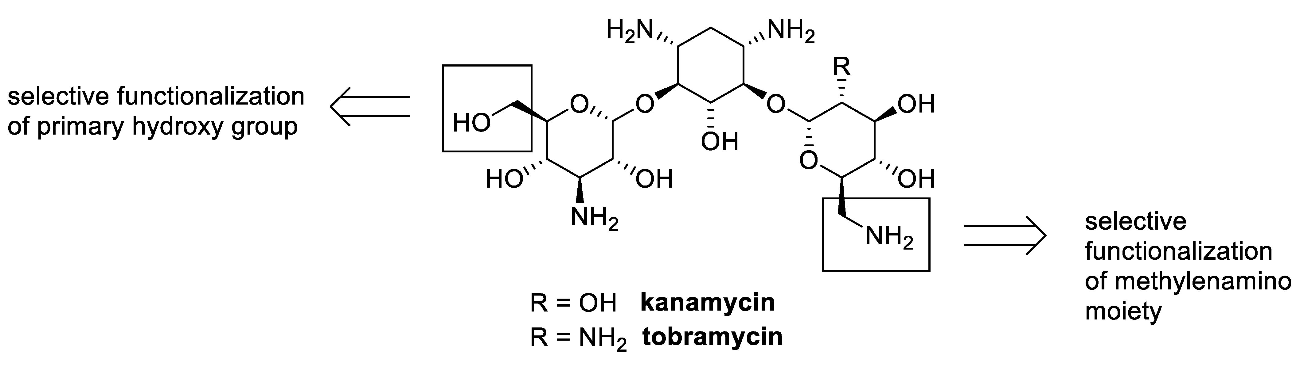 Antibiotics 13 00783 g006 Antibiotics 13 00783 g006