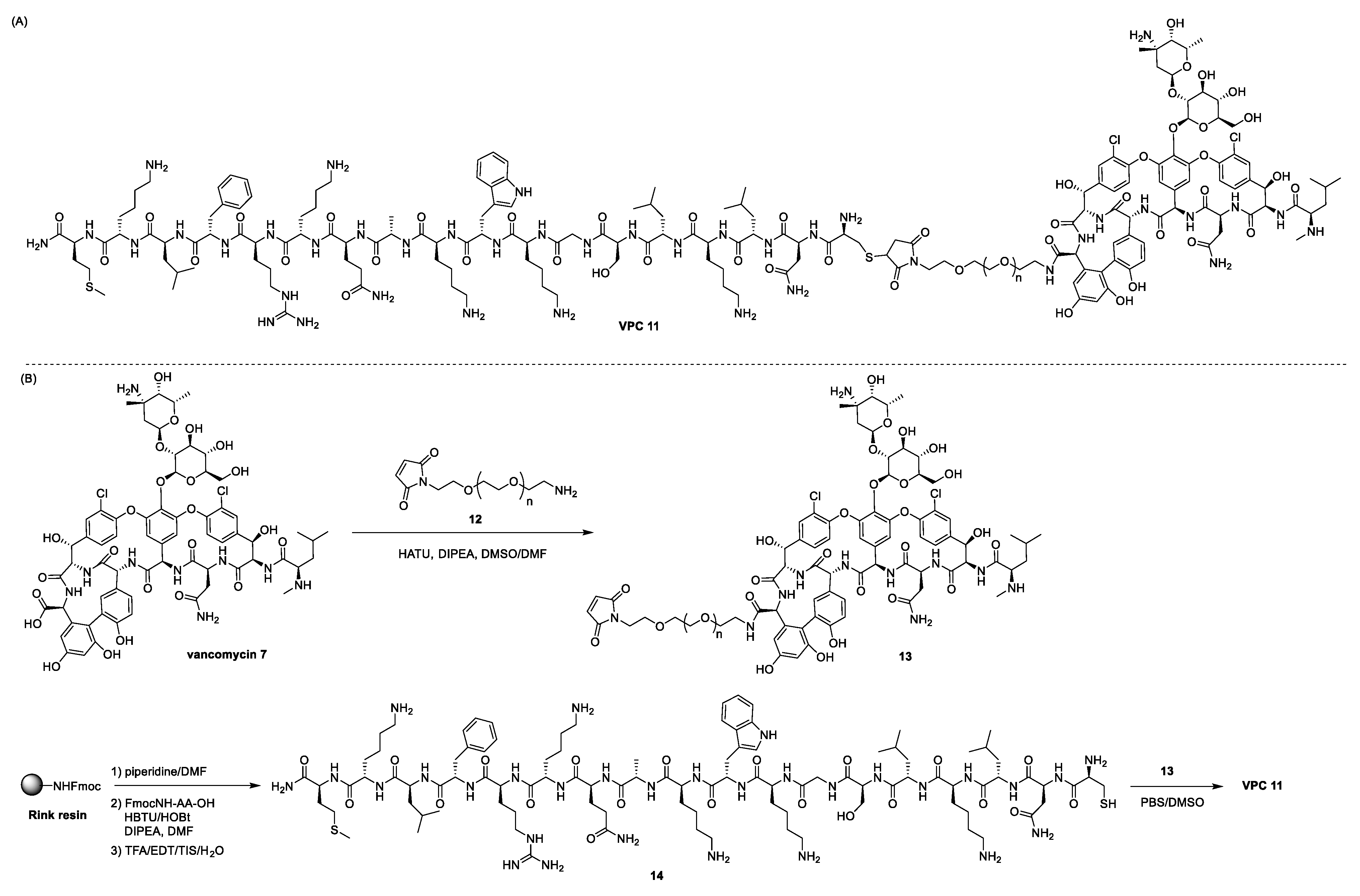 Antibiotics 13 00783 sch003 Antibiotics 13 00783 sch003