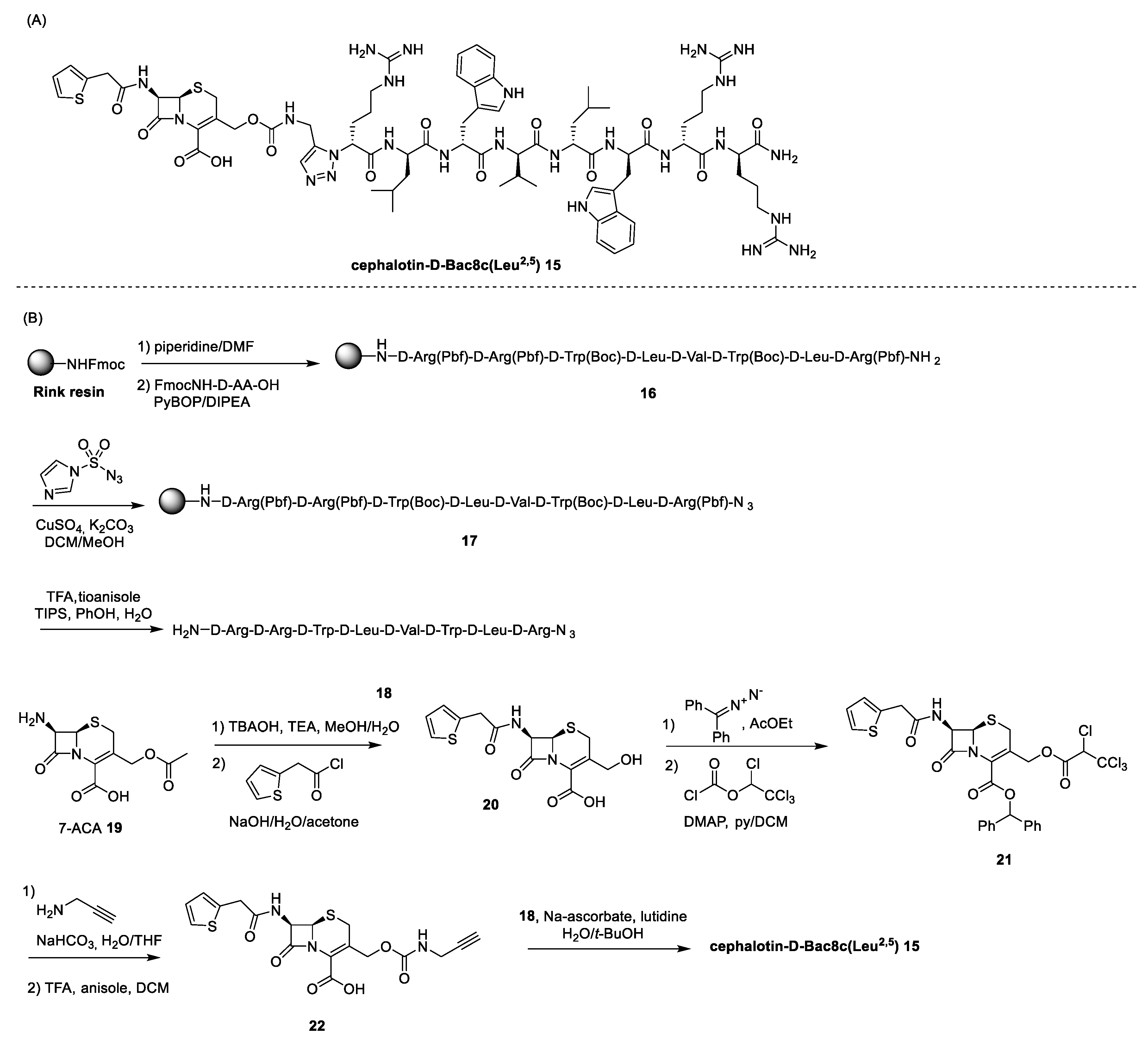 Antibiotics 13 00783 sch004 Antibiotics 13 00783 sch004