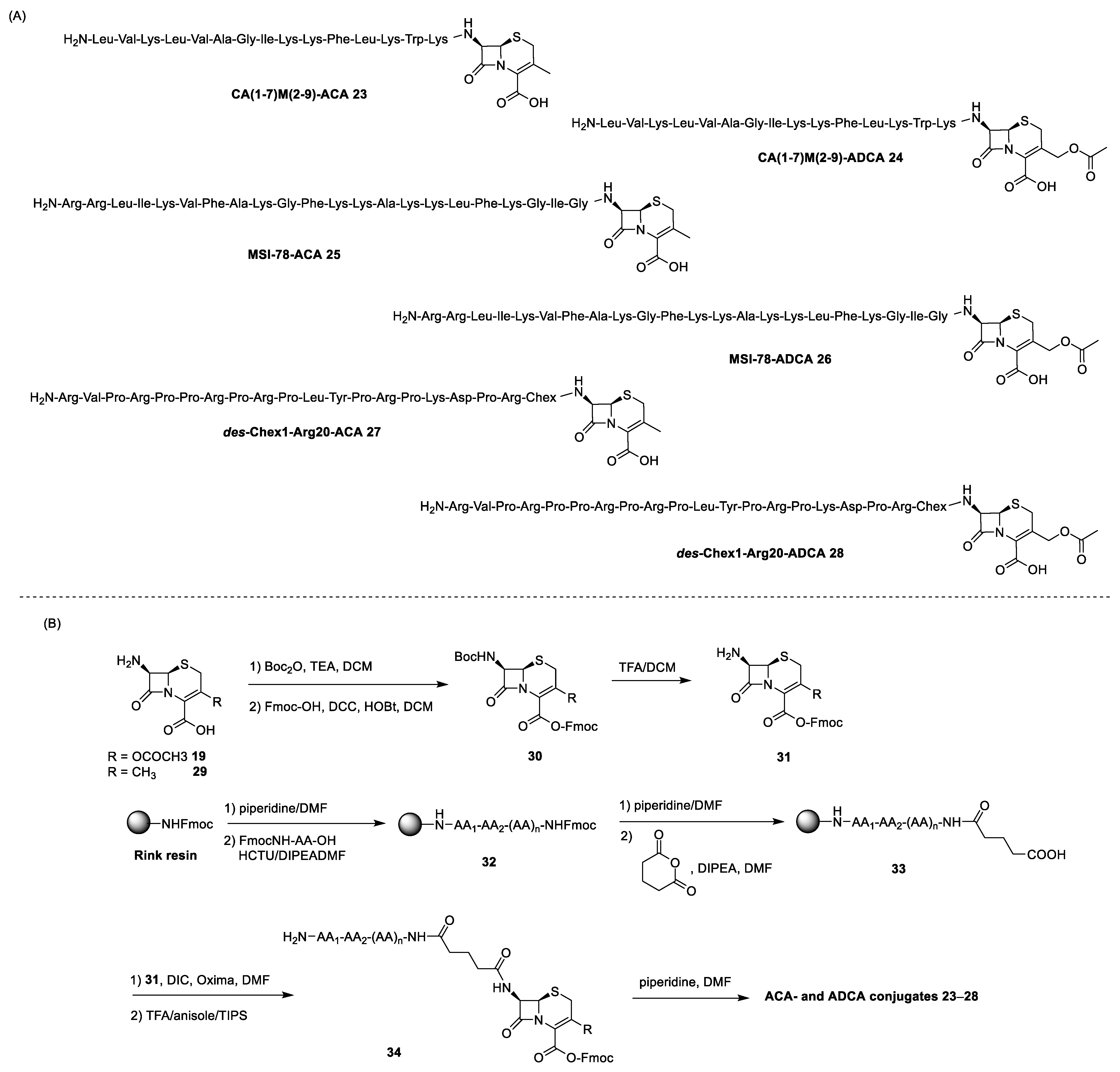 Antibiotics 13 00783 sch005 Antibiotics 13 00783 sch005