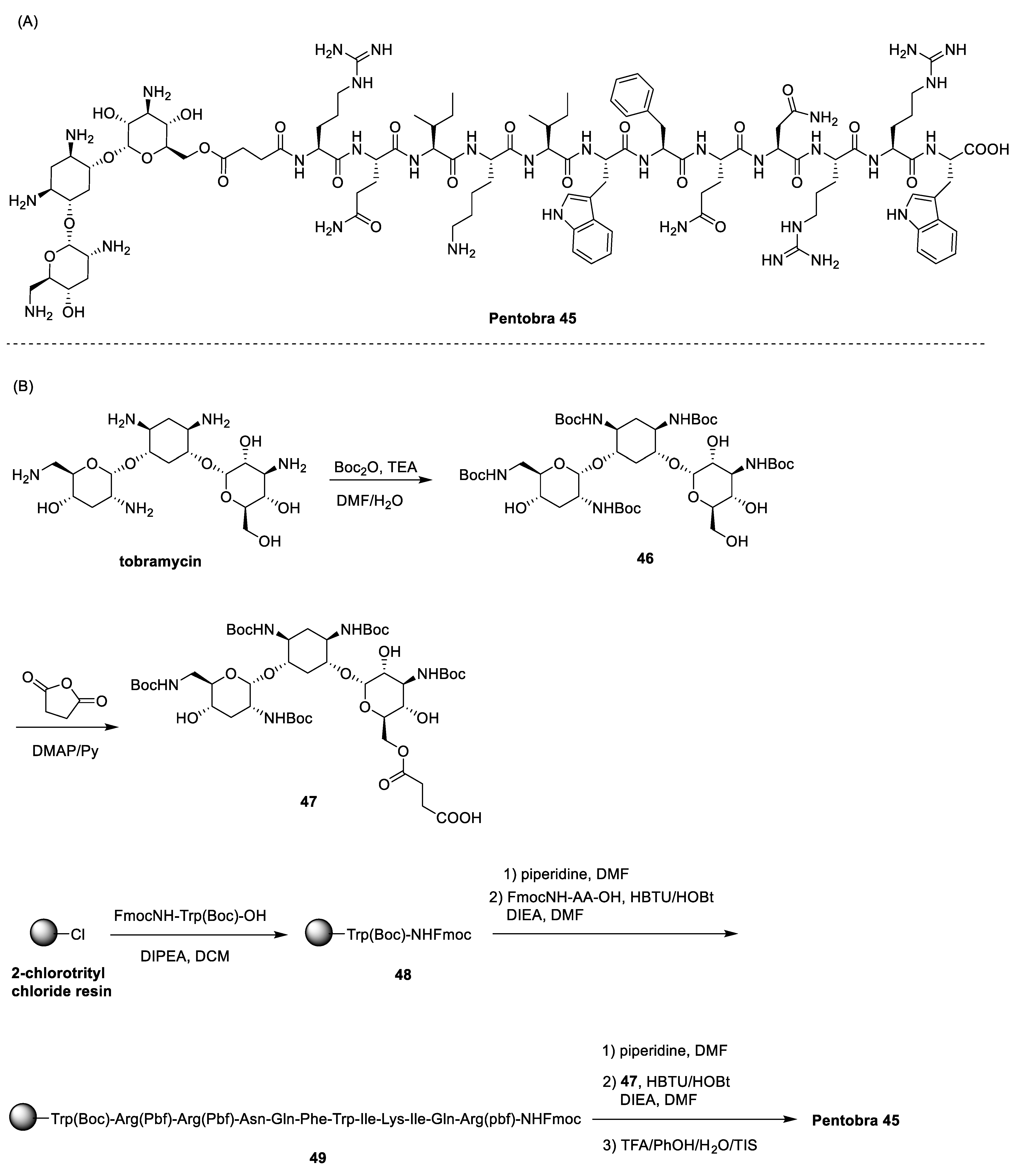 Antibiotics 13 00783 sch007 Antibiotics 13 00783 sch007