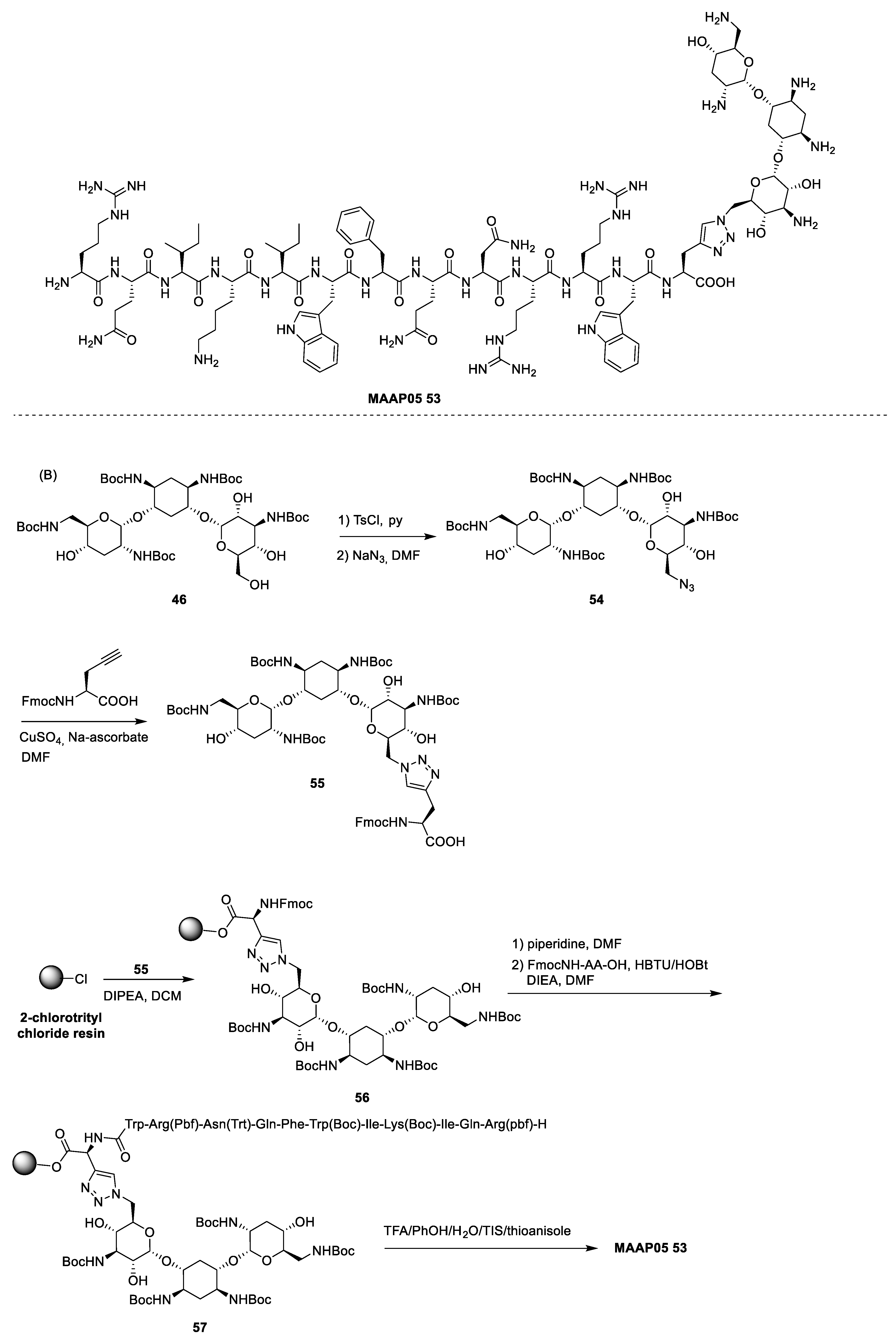 Antibiotics 13 00783 sch008b Antibiotics 13 00783 sch008b