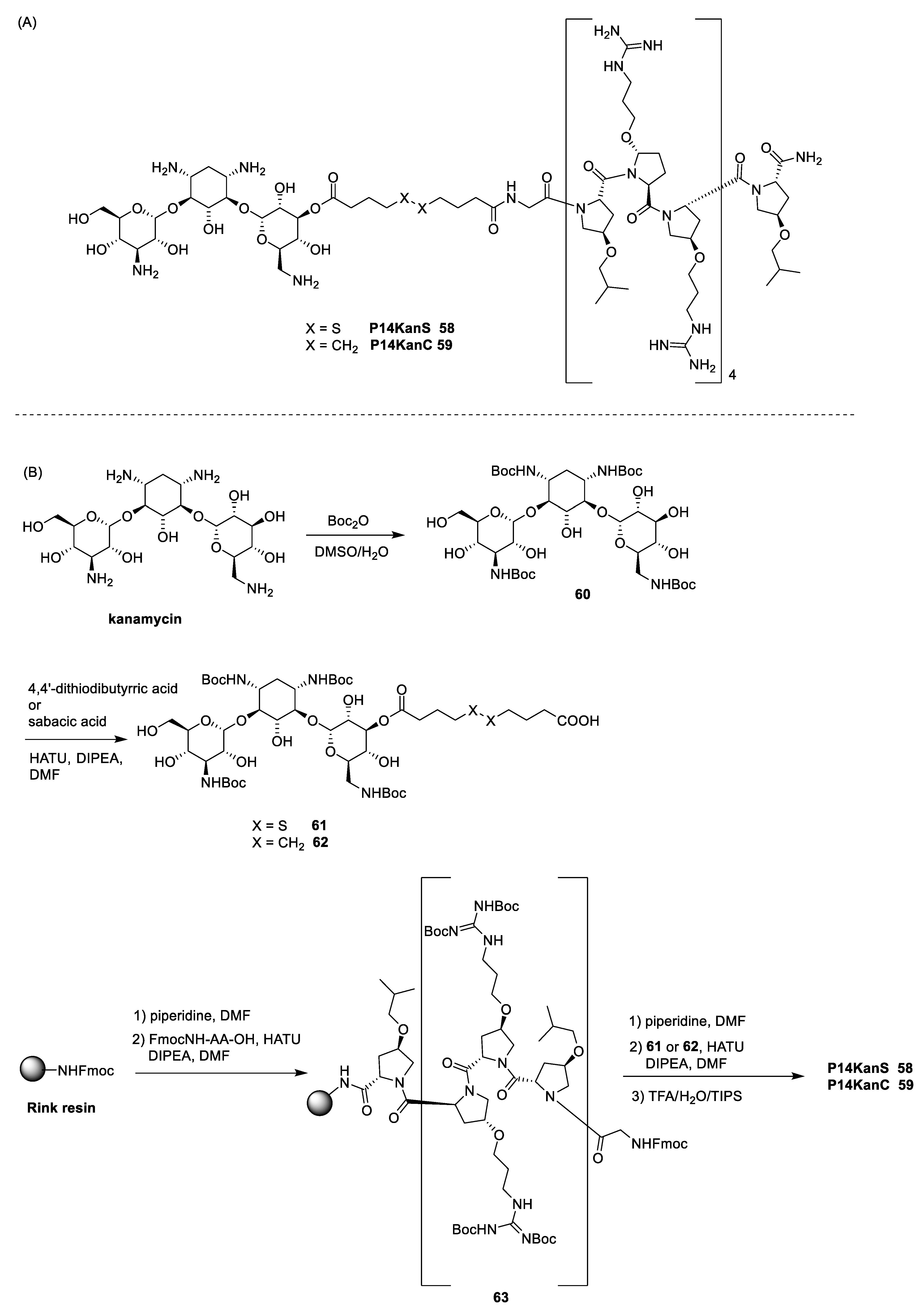 Antibiotics 13 00783 sch009 Antibiotics 13 00783 sch009