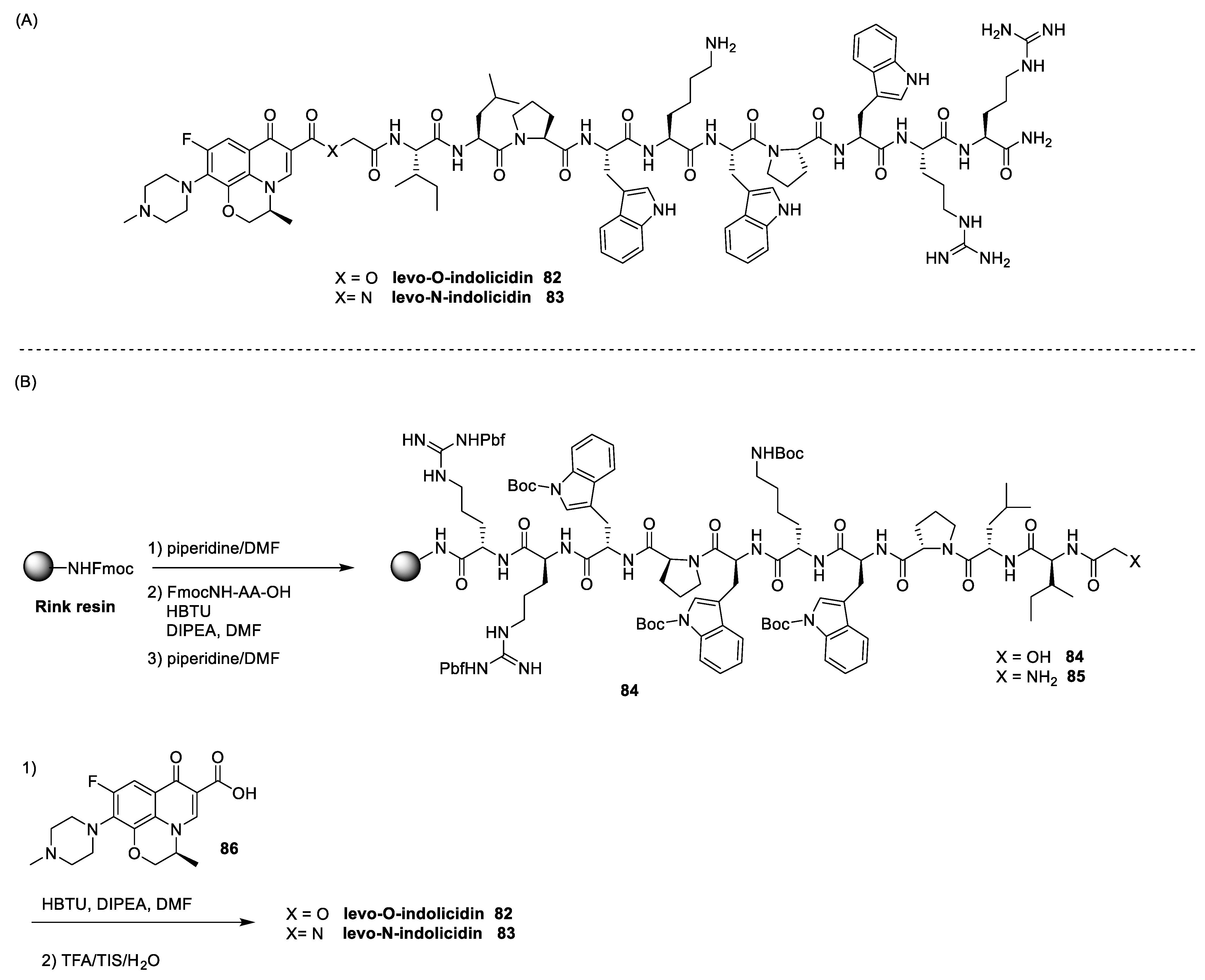 Antibiotics 13 00783 sch013 Antibiotics 13 00783 sch013