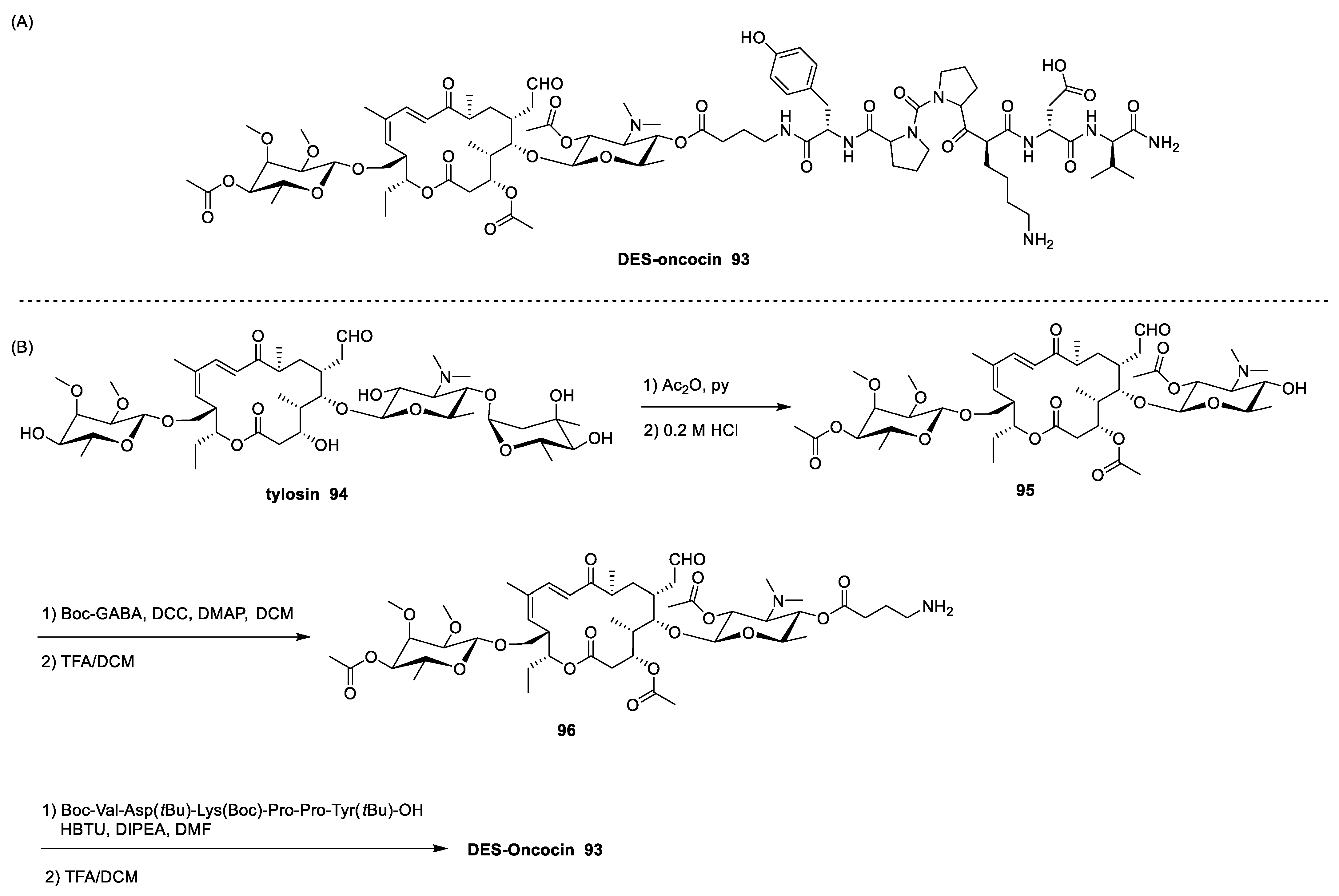 Antibiotics 13 00783 sch015 Antibiotics 13 00783 sch015