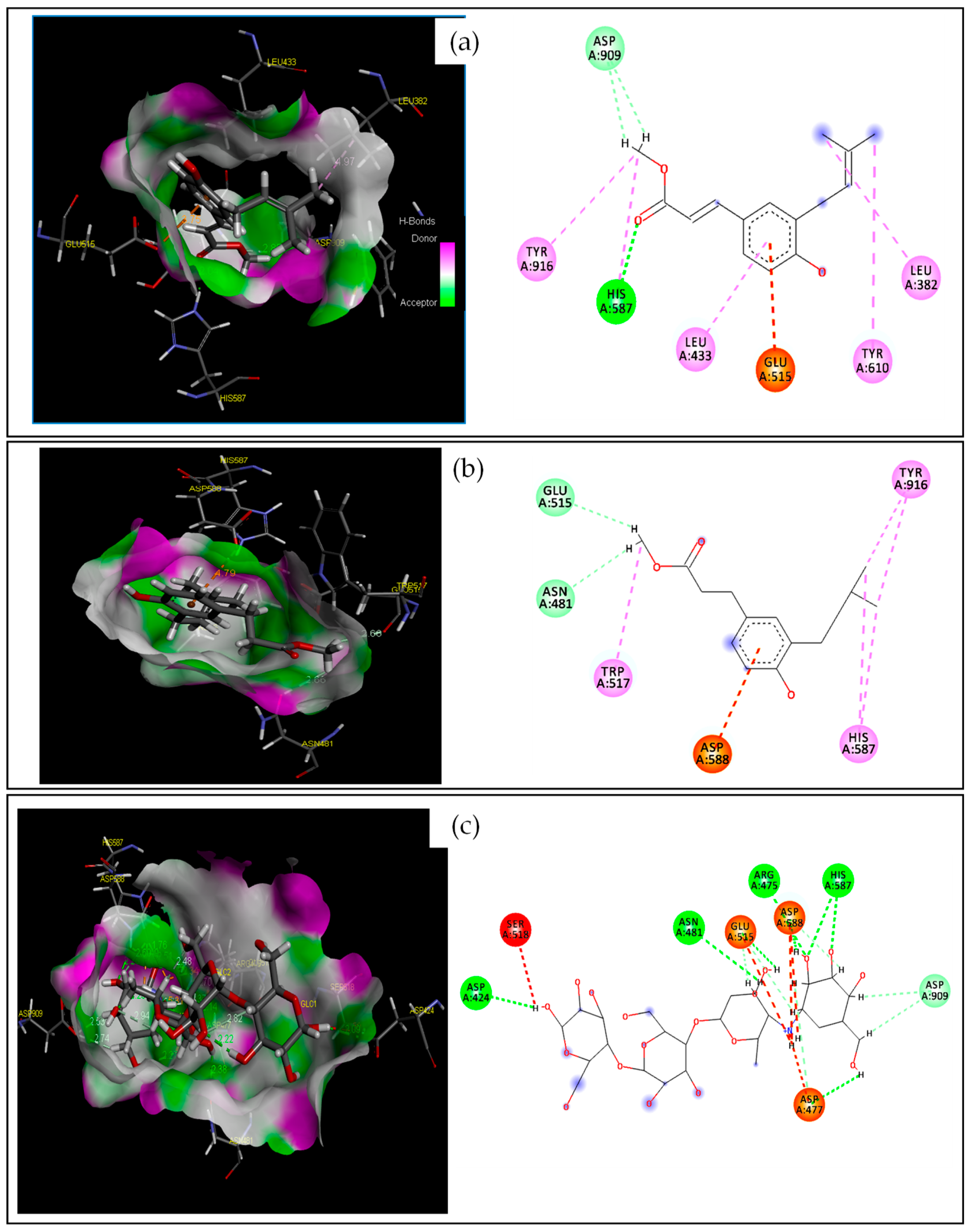Antibiotics 13 00787 g004