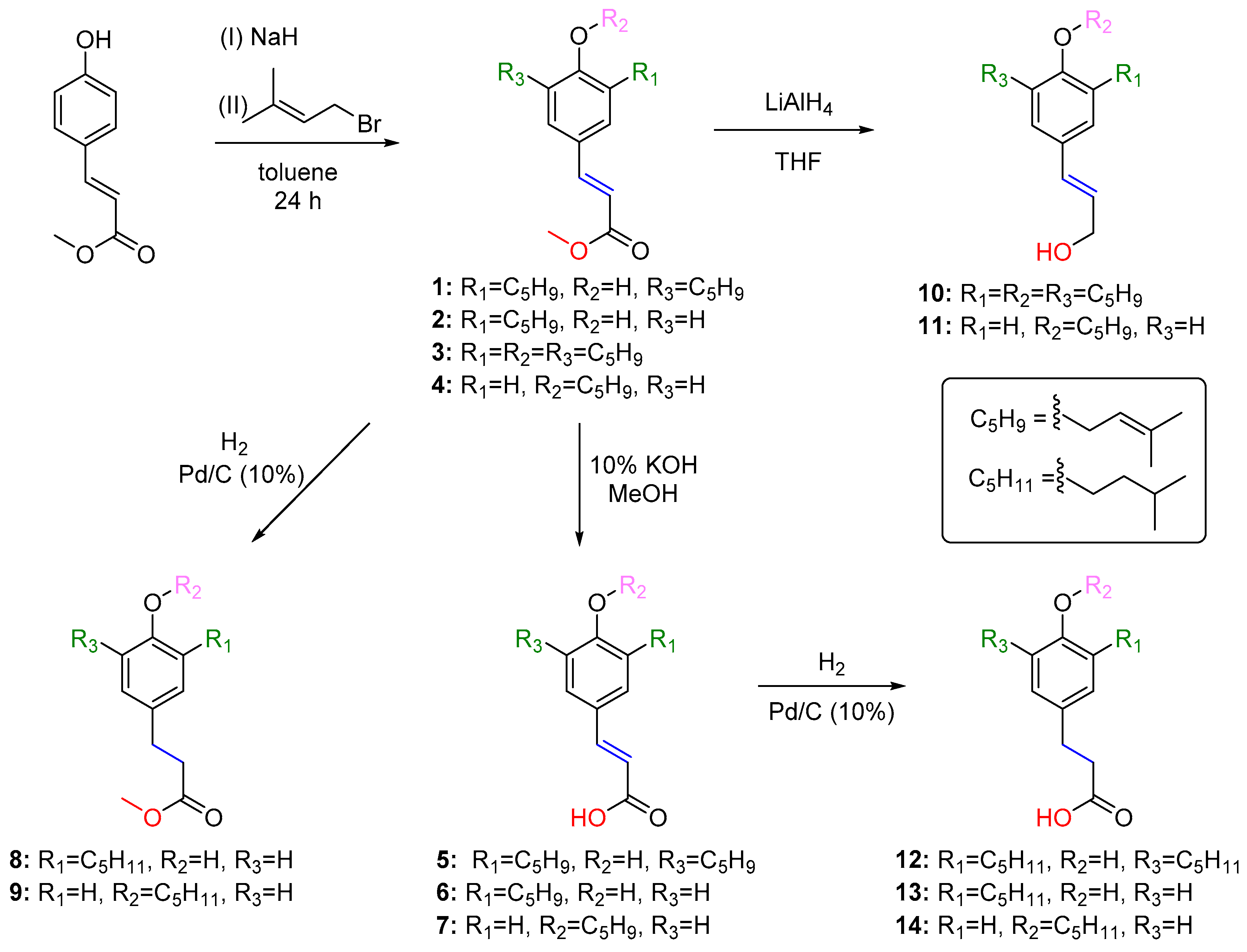 Antibiotics 13 00787 sch001