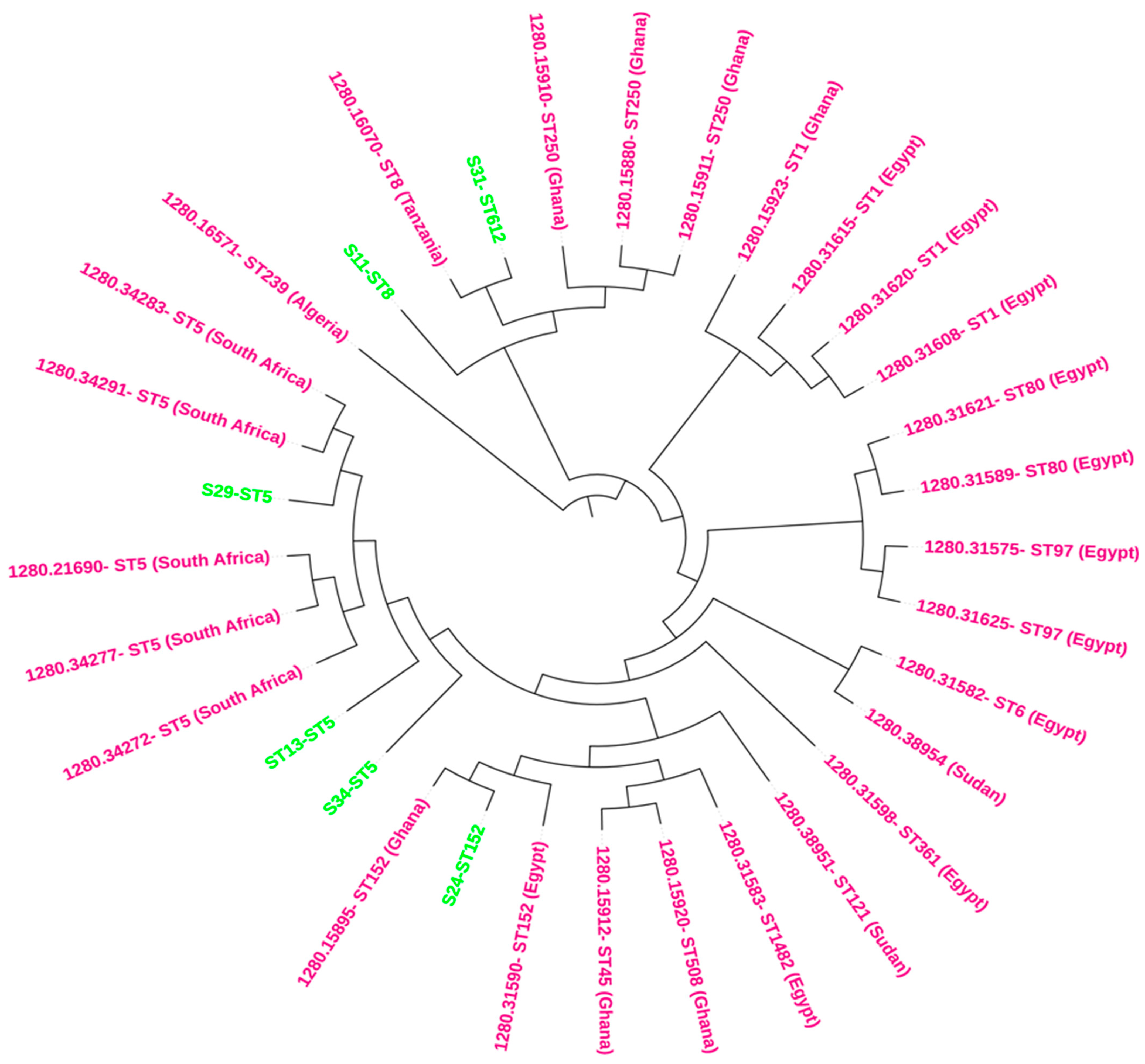 Antibiotics 13 00796 g001 Antibiotics 13 00796 g001