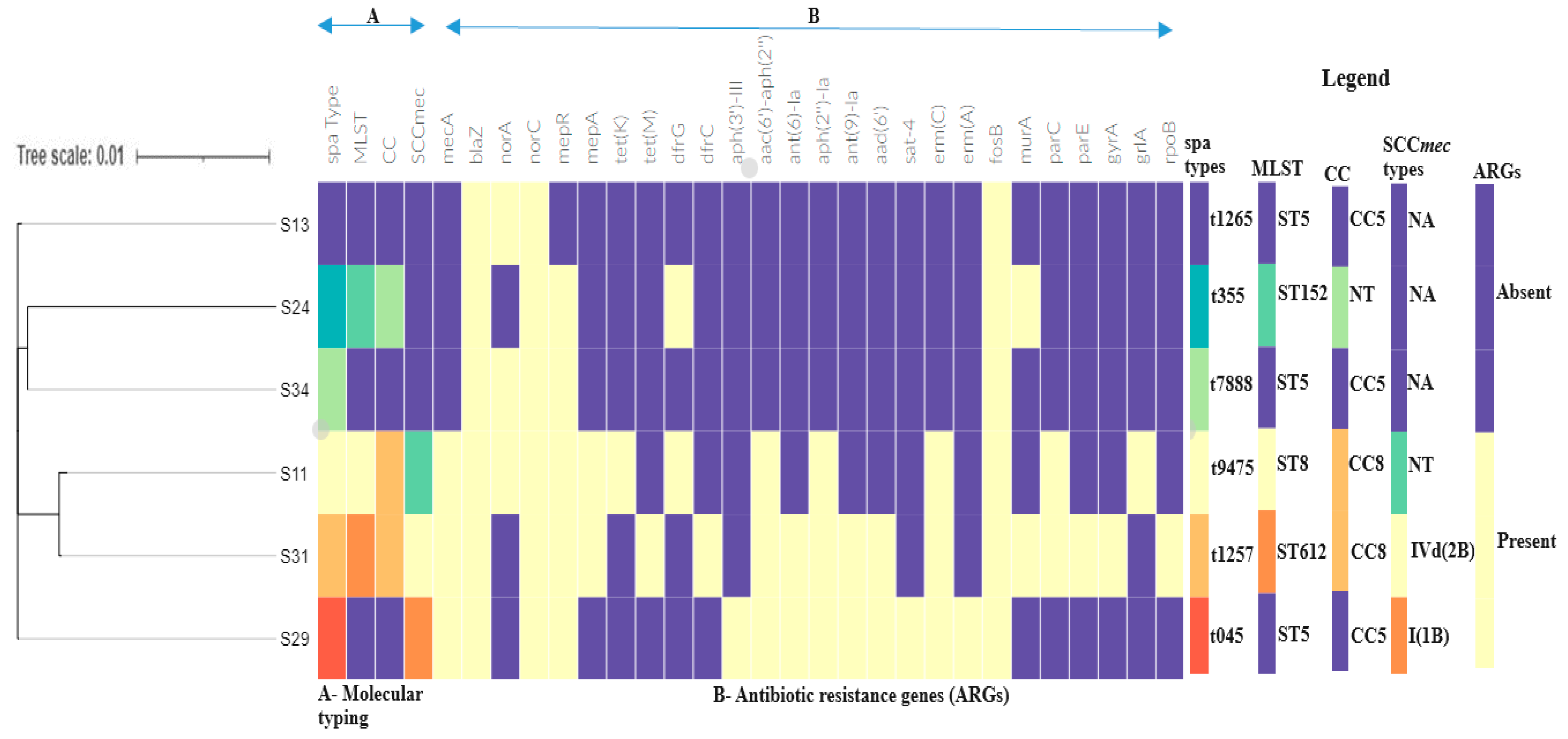 Antibiotics 13 00796 g002 Antibiotics 13 00796 g002