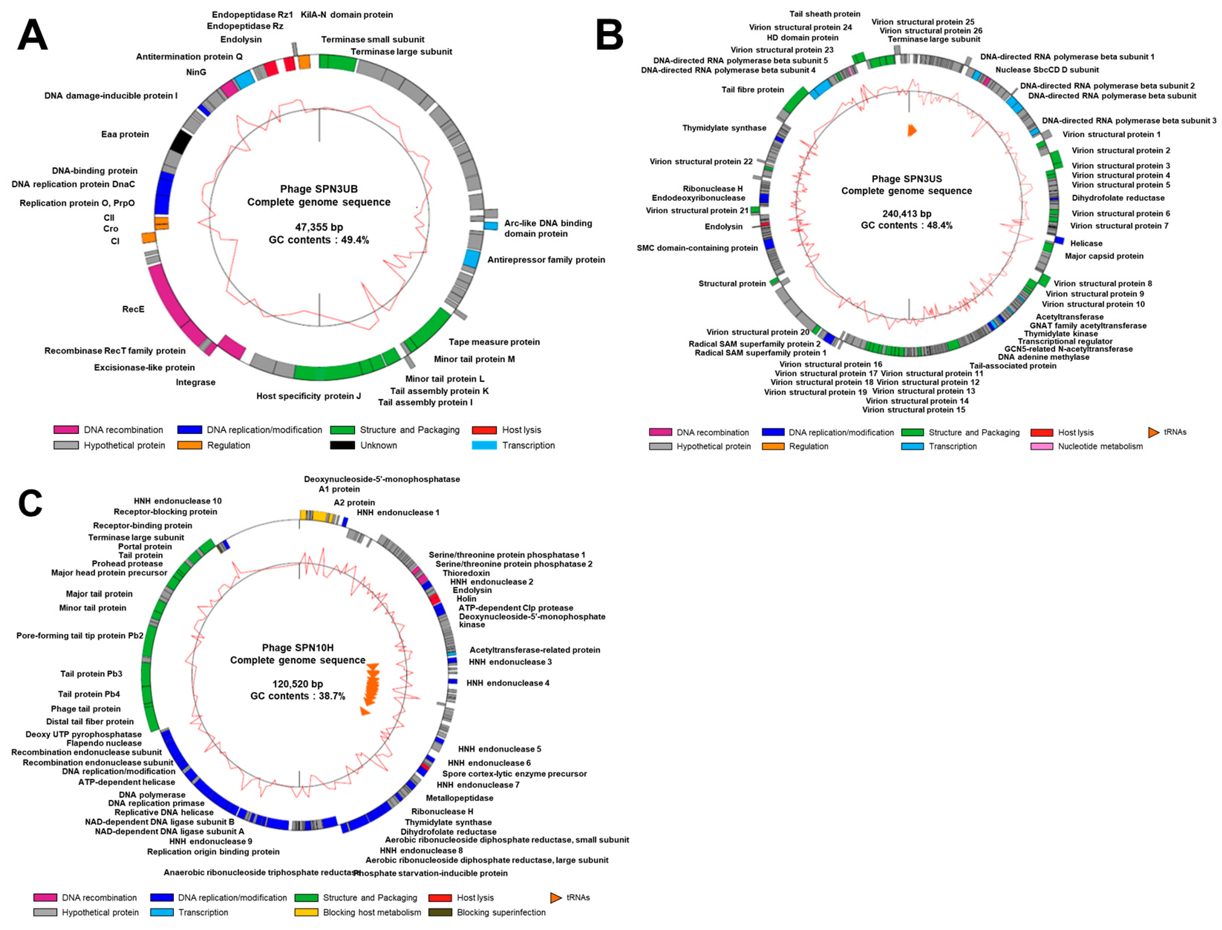 Antibiotics 13 00799 g002 Antibiotics 13 00799 g002