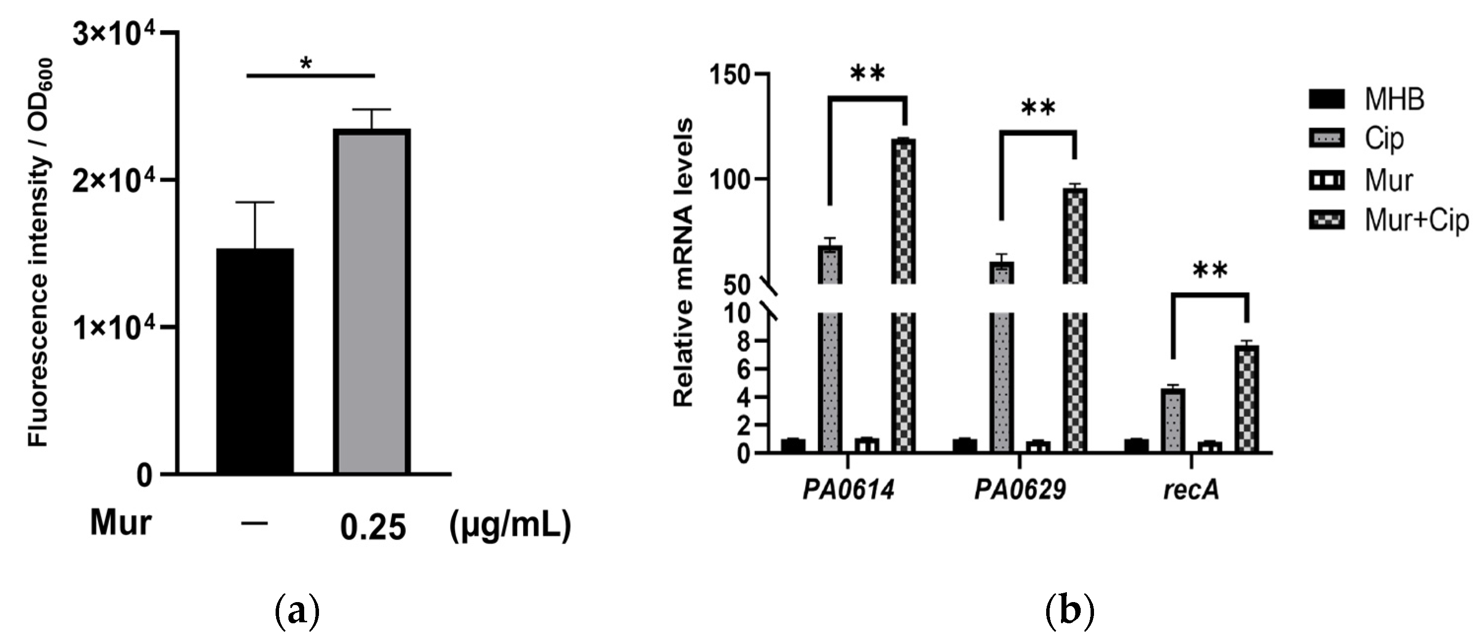 Antibiotics 13 00810 g002