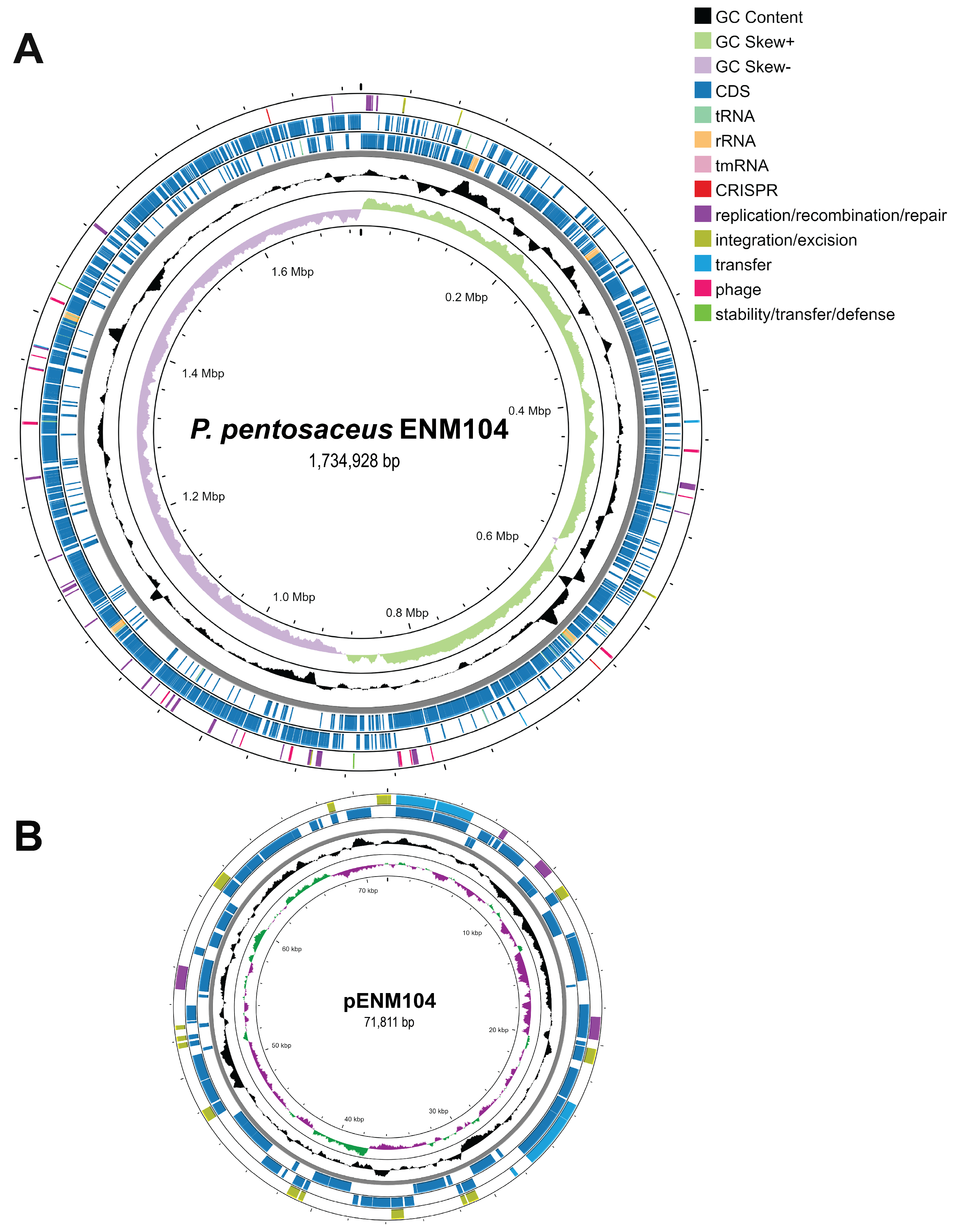 Antibiotics 13 00813 g001