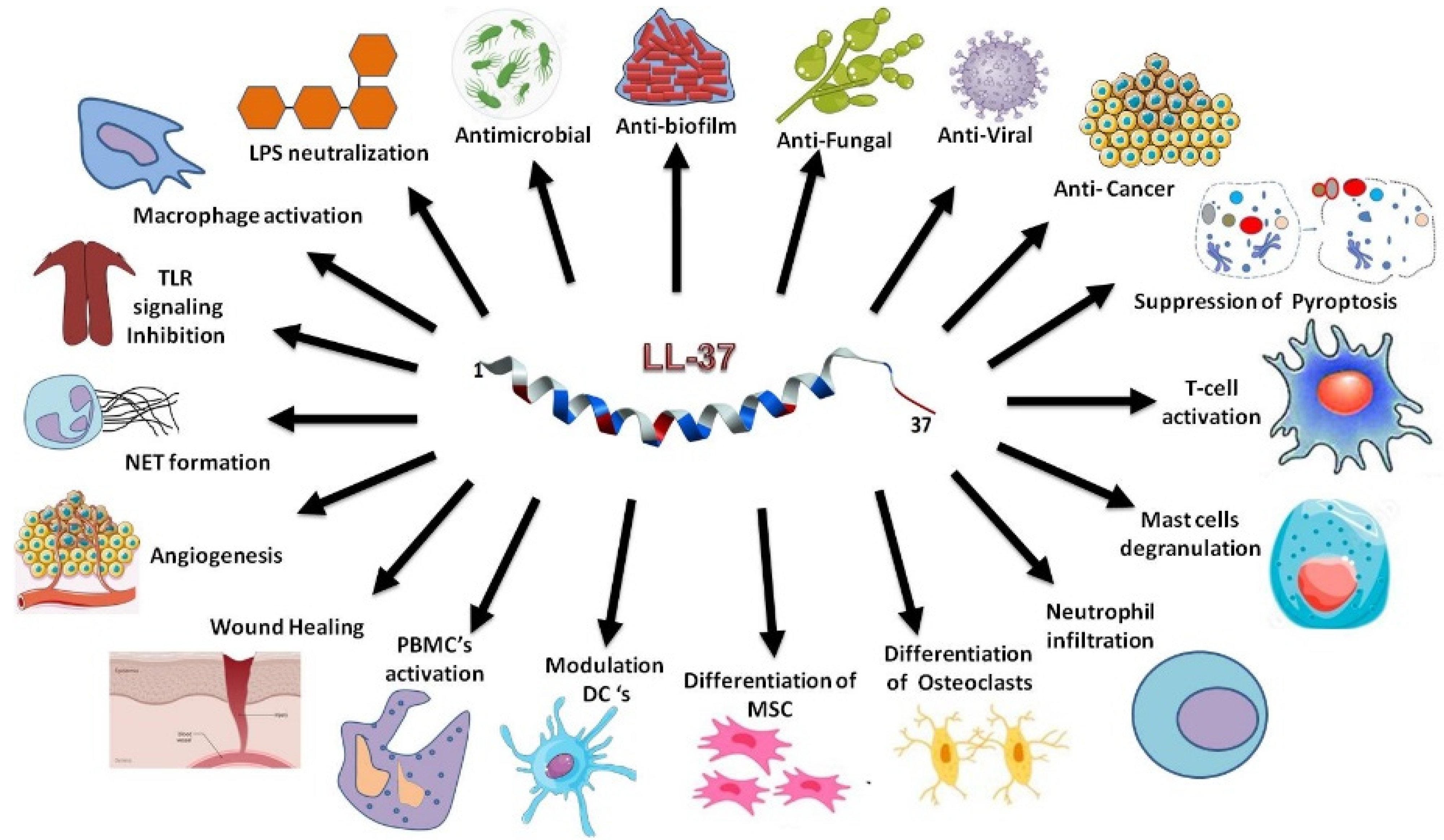 Antibiotics 13 00816 g001
