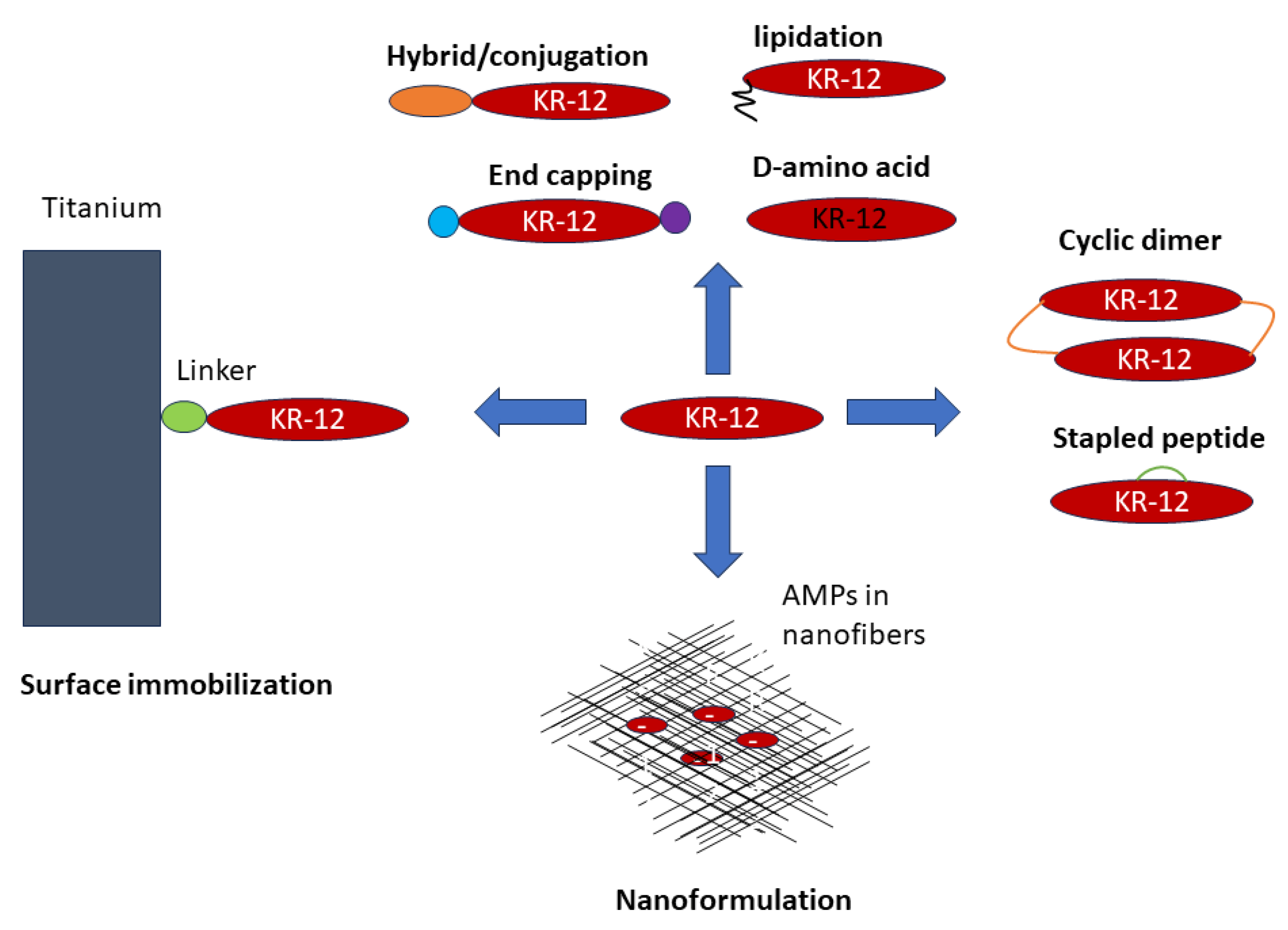 Antibiotics 13 00816 g005