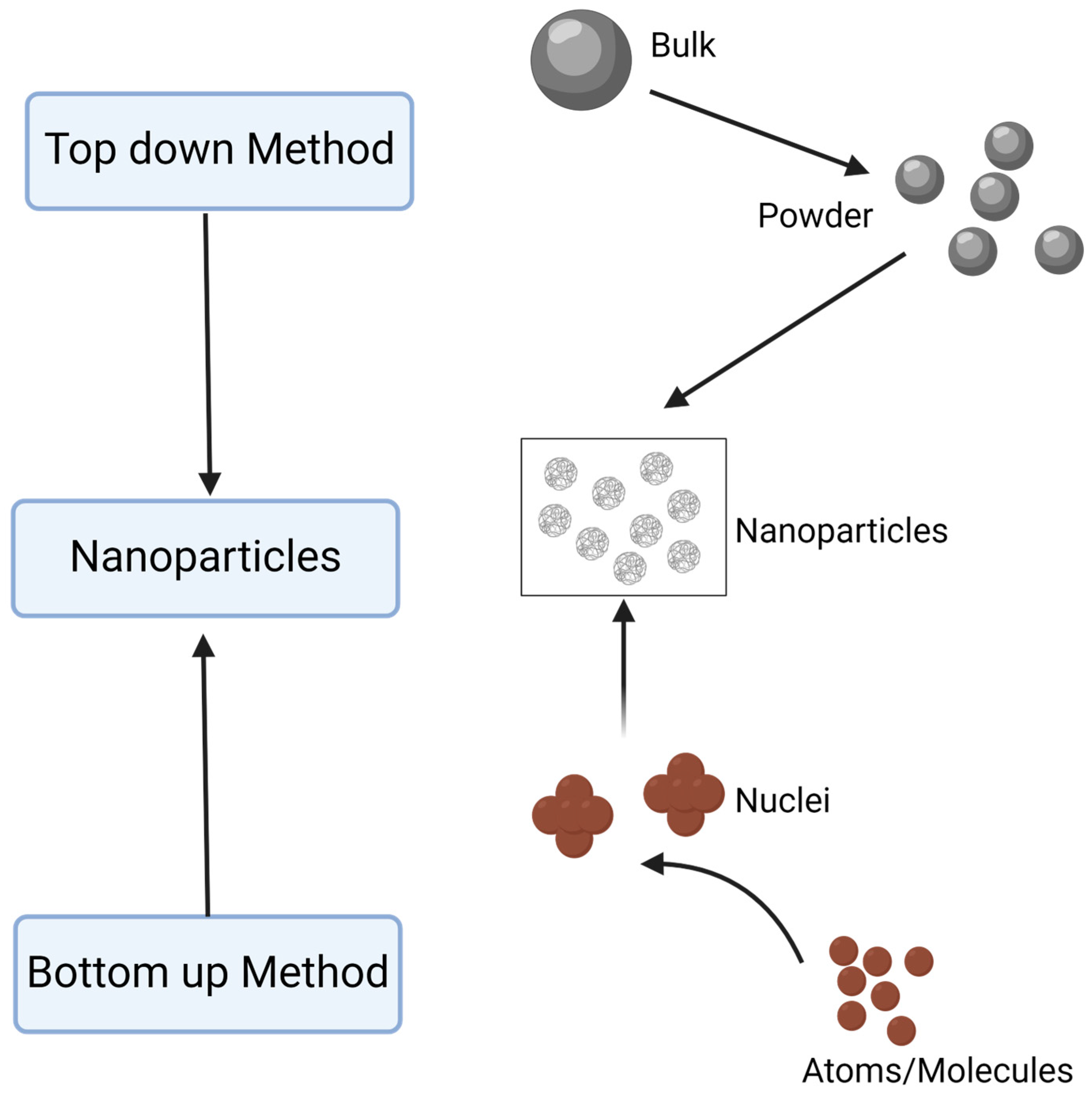Antibiotics 13 00819 g003
