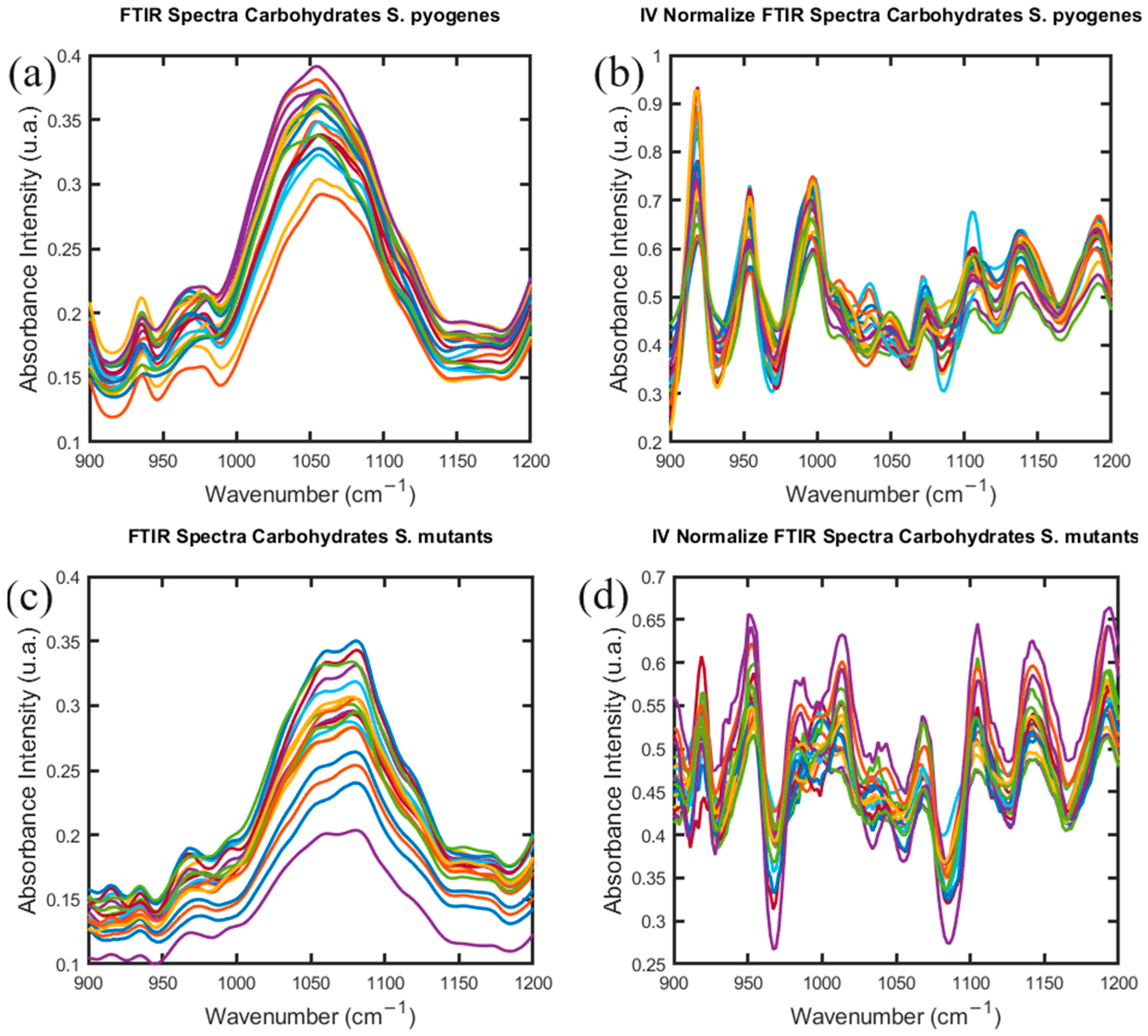 Antibiotics 13 00821 g001