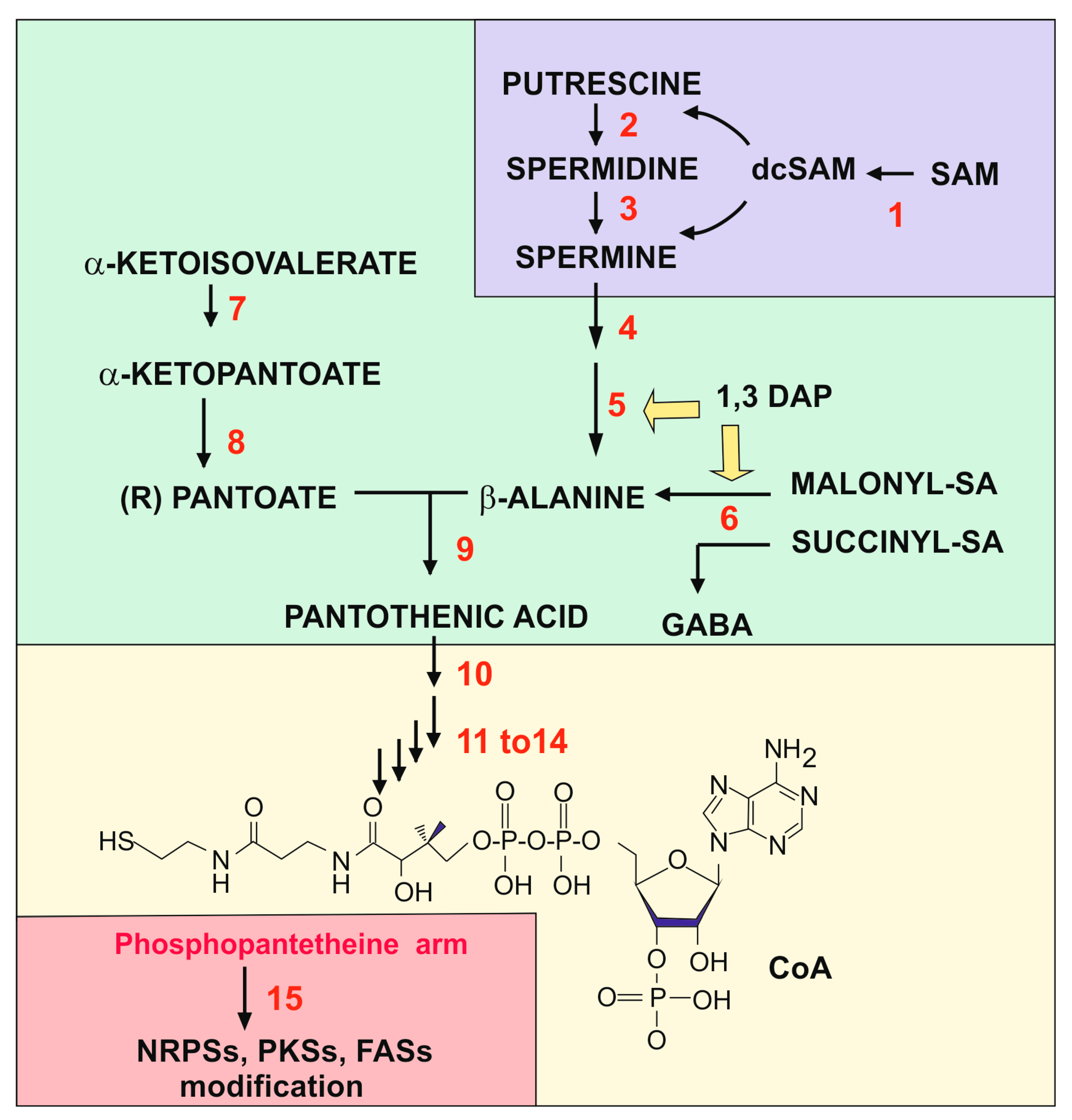 Antibiotics 13 00826 g001 Antibiotics 13 00826 g001