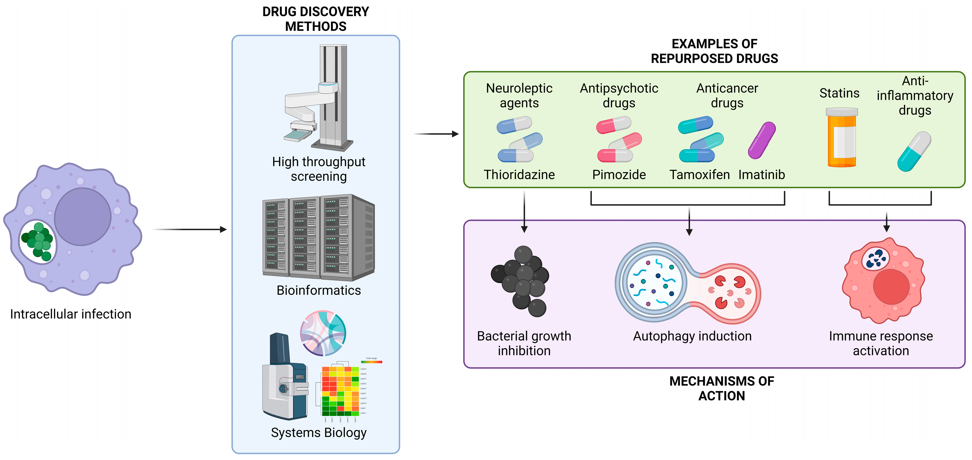 Antibiotics 13 00834 g001