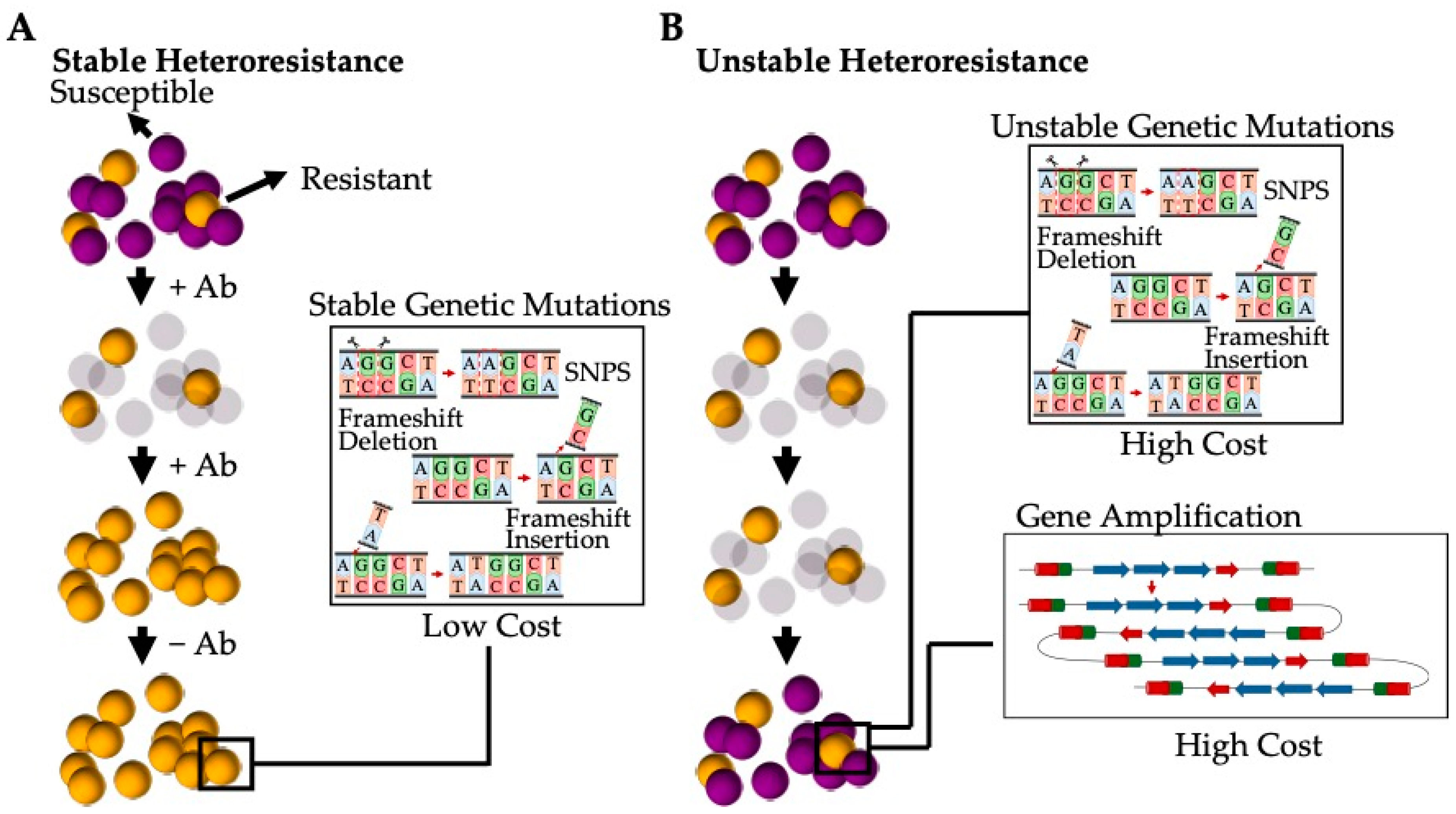 Antibiotics 13 00845 g005