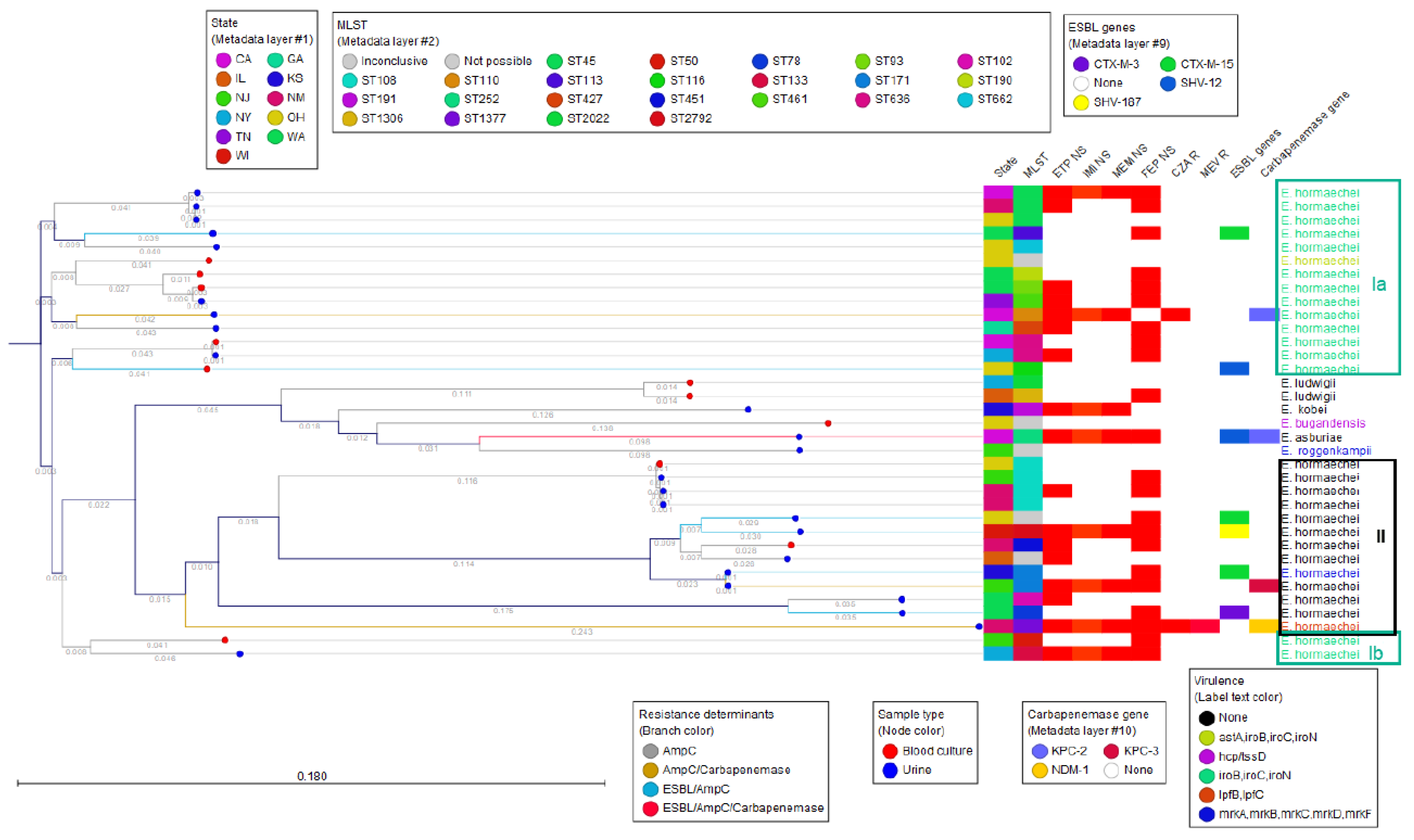 Antibiotics 13 00865 g002
