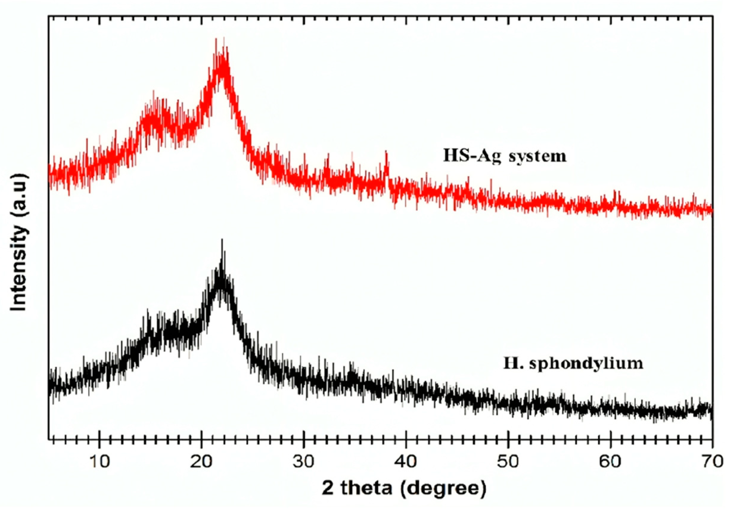 Antibiotics 13 00911 g006