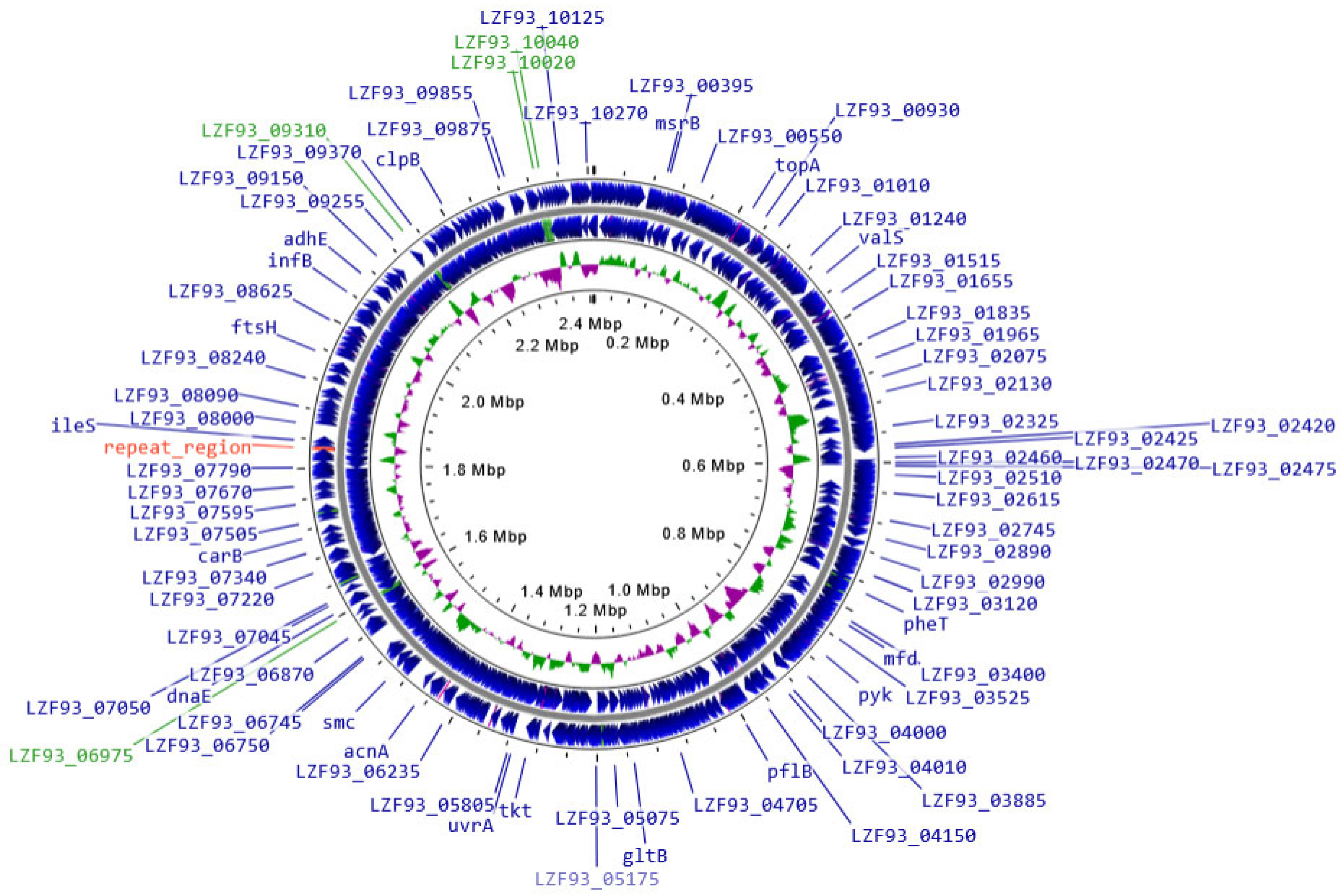 Antibiotics 13 00924 g004