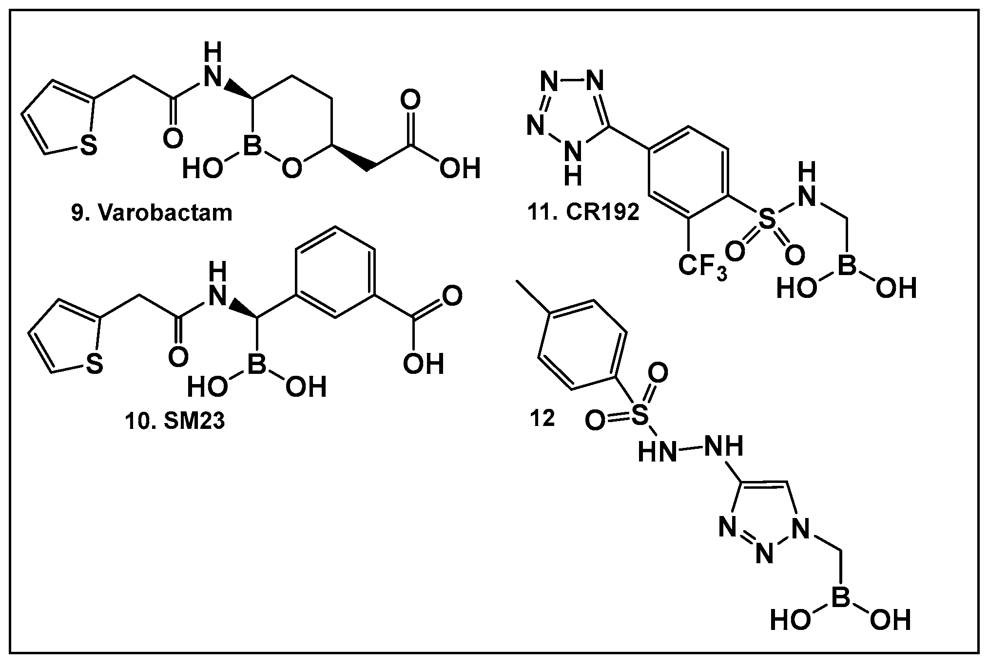Antibiotics 13 00929 g008 Antibiotics 13 00929 g008