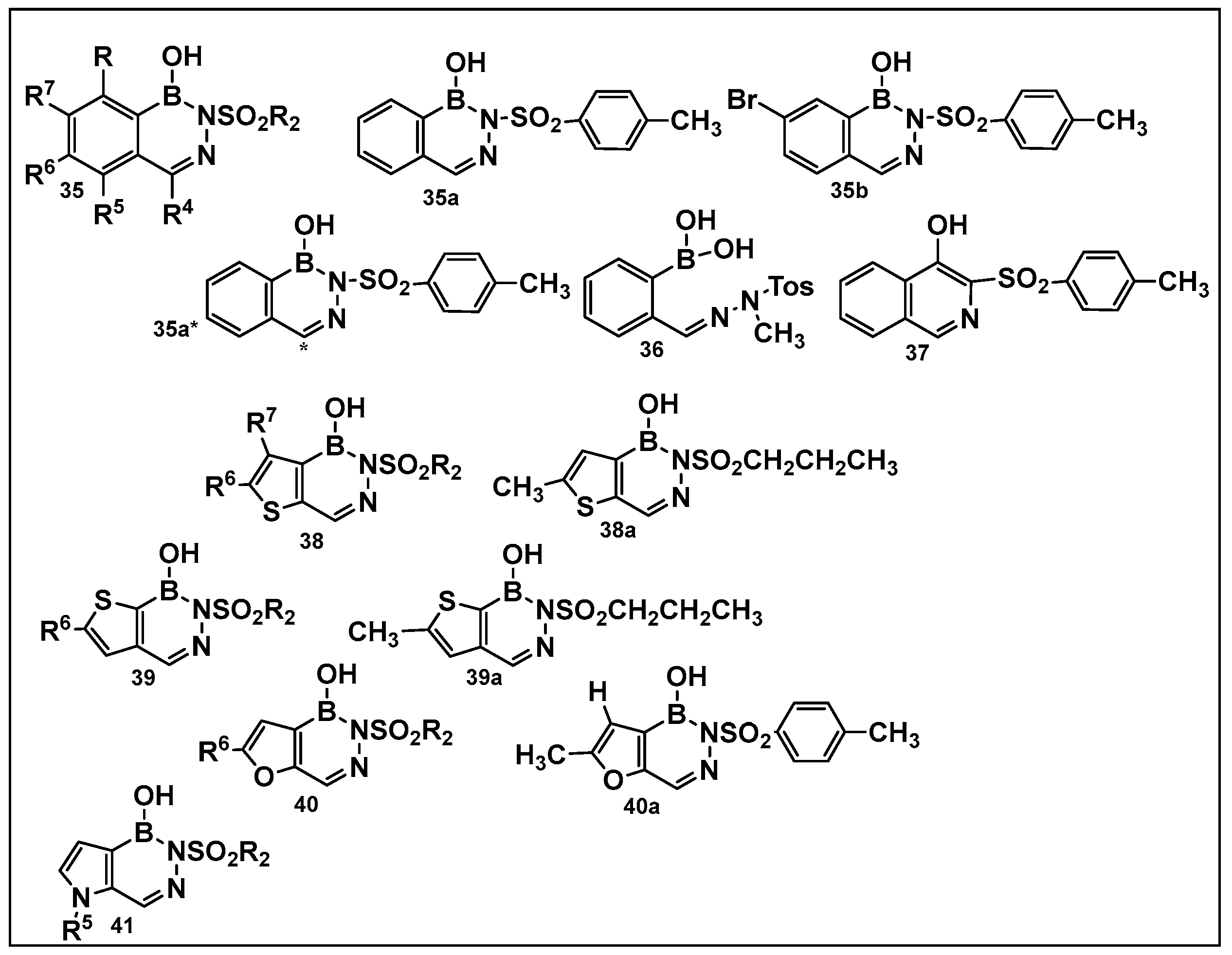 Antibiotics 13 00929 g018 Antibiotics 13 00929 g018