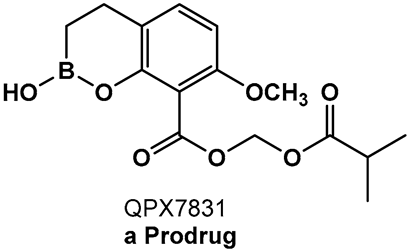 Antibiotics 13 00929 i006 Antibiotics 13 00929 i006