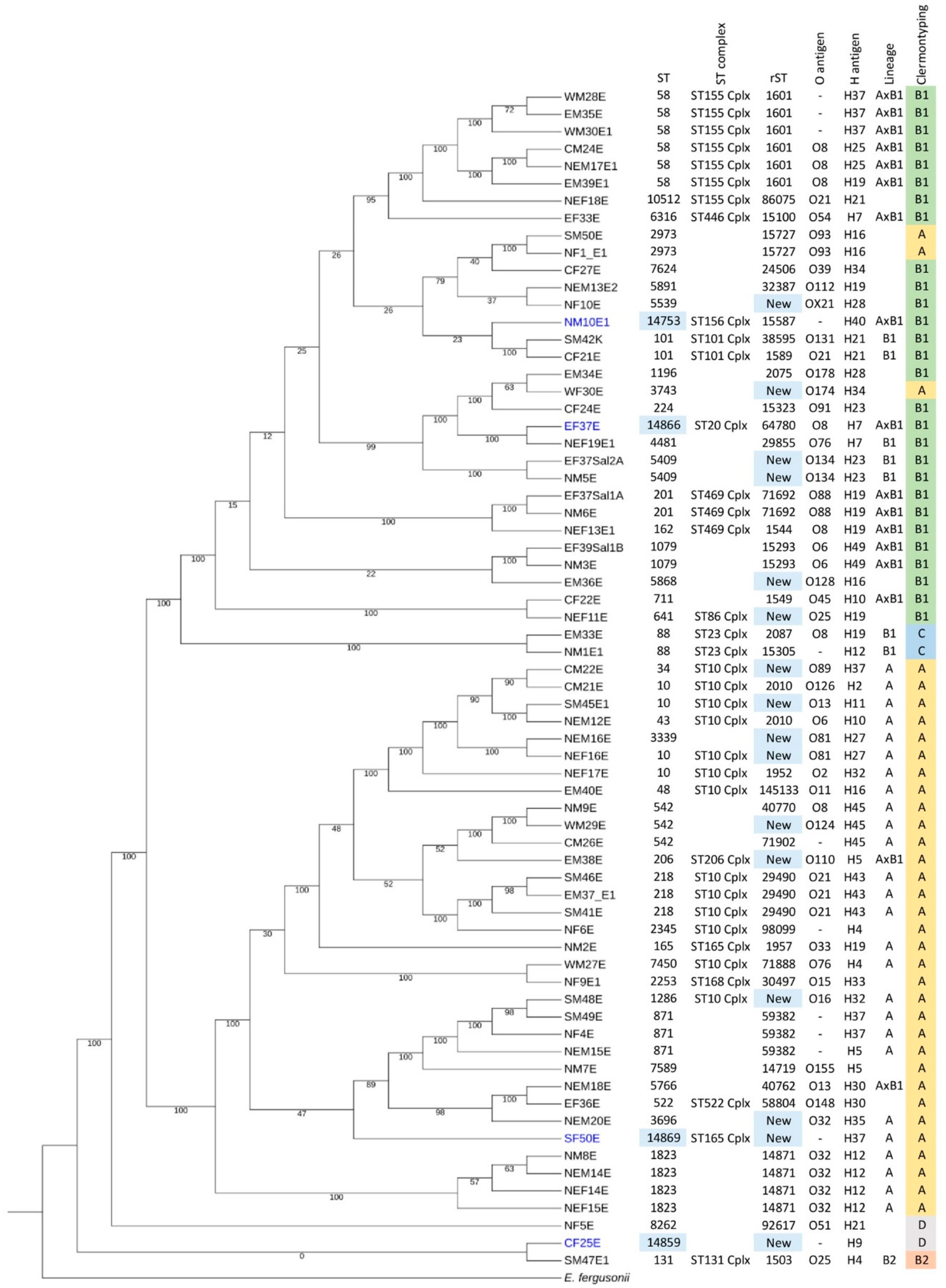 Antibiotics 13 00935 g002