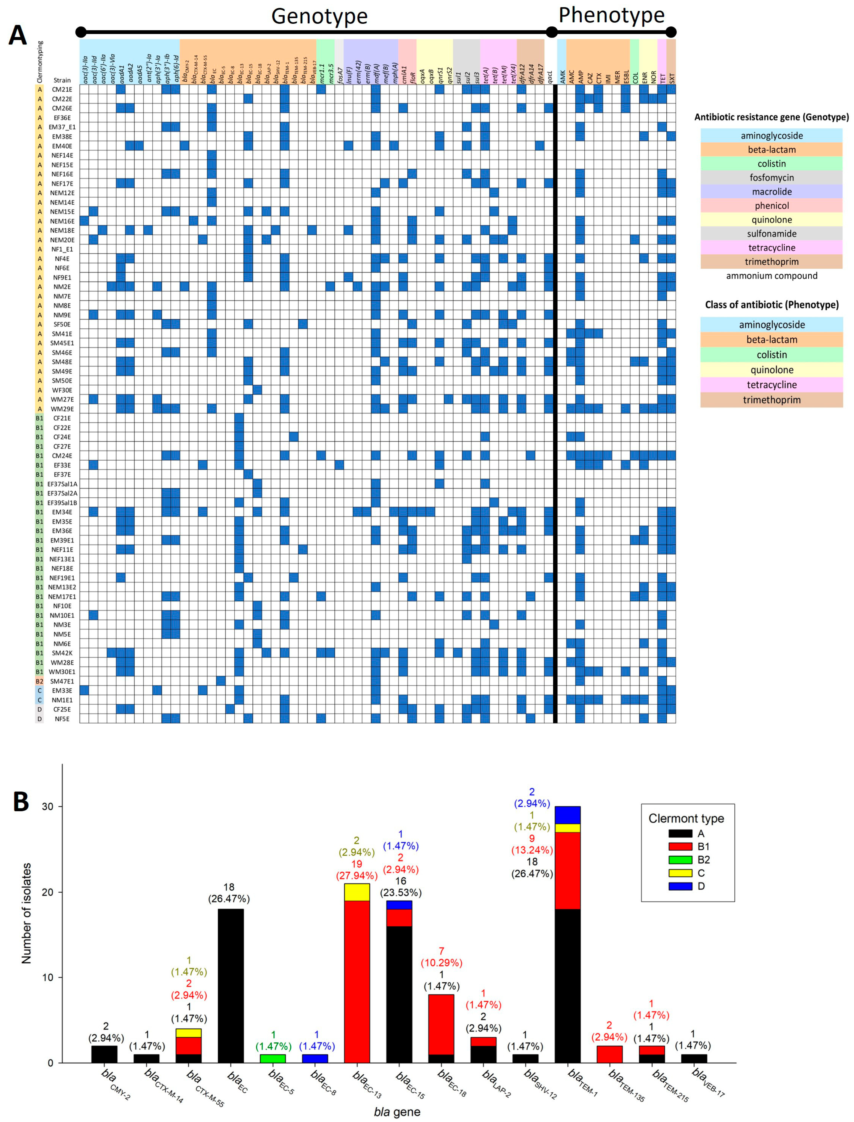 Antibiotics 13 00935 g003