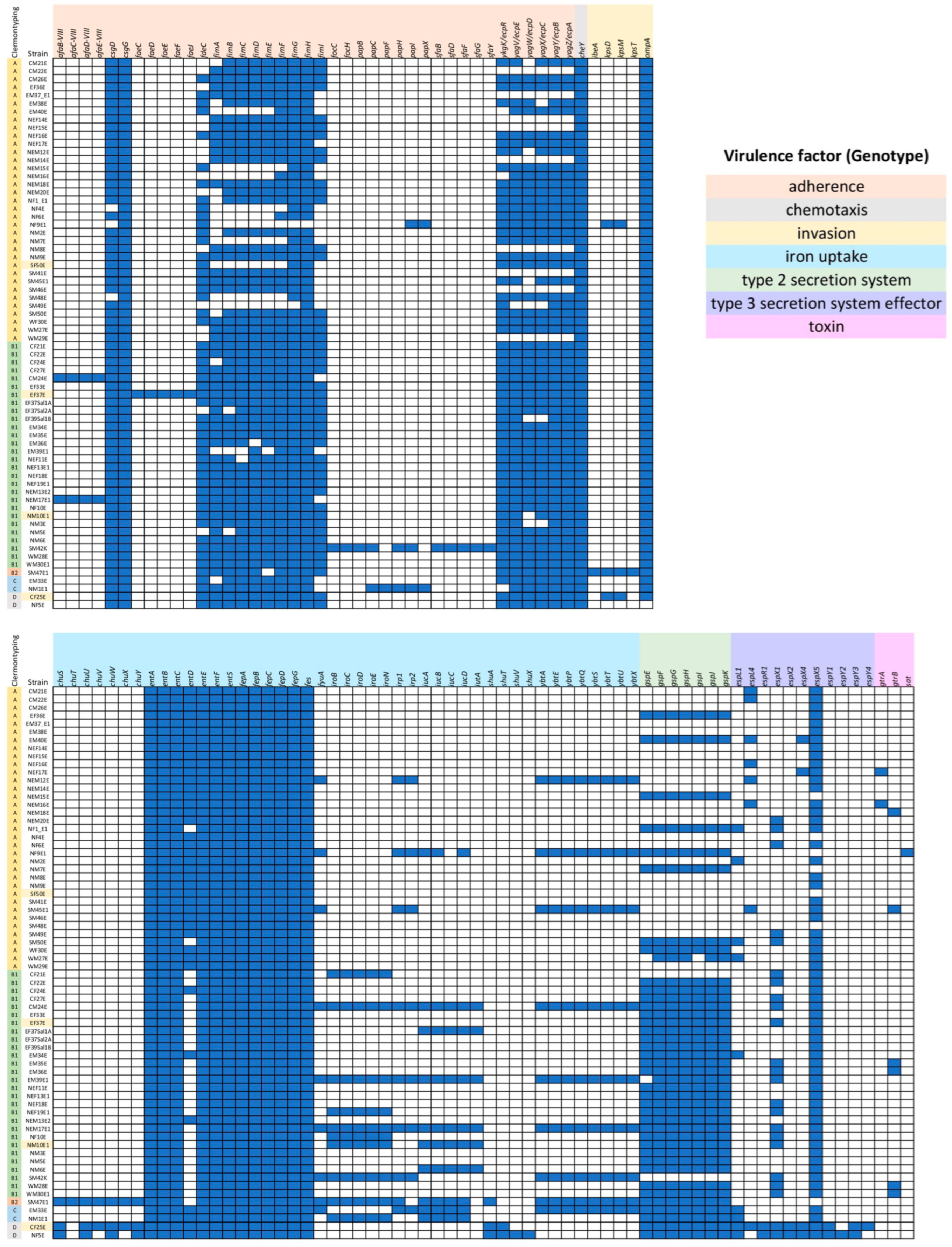 Antibiotics 13 00935 g004