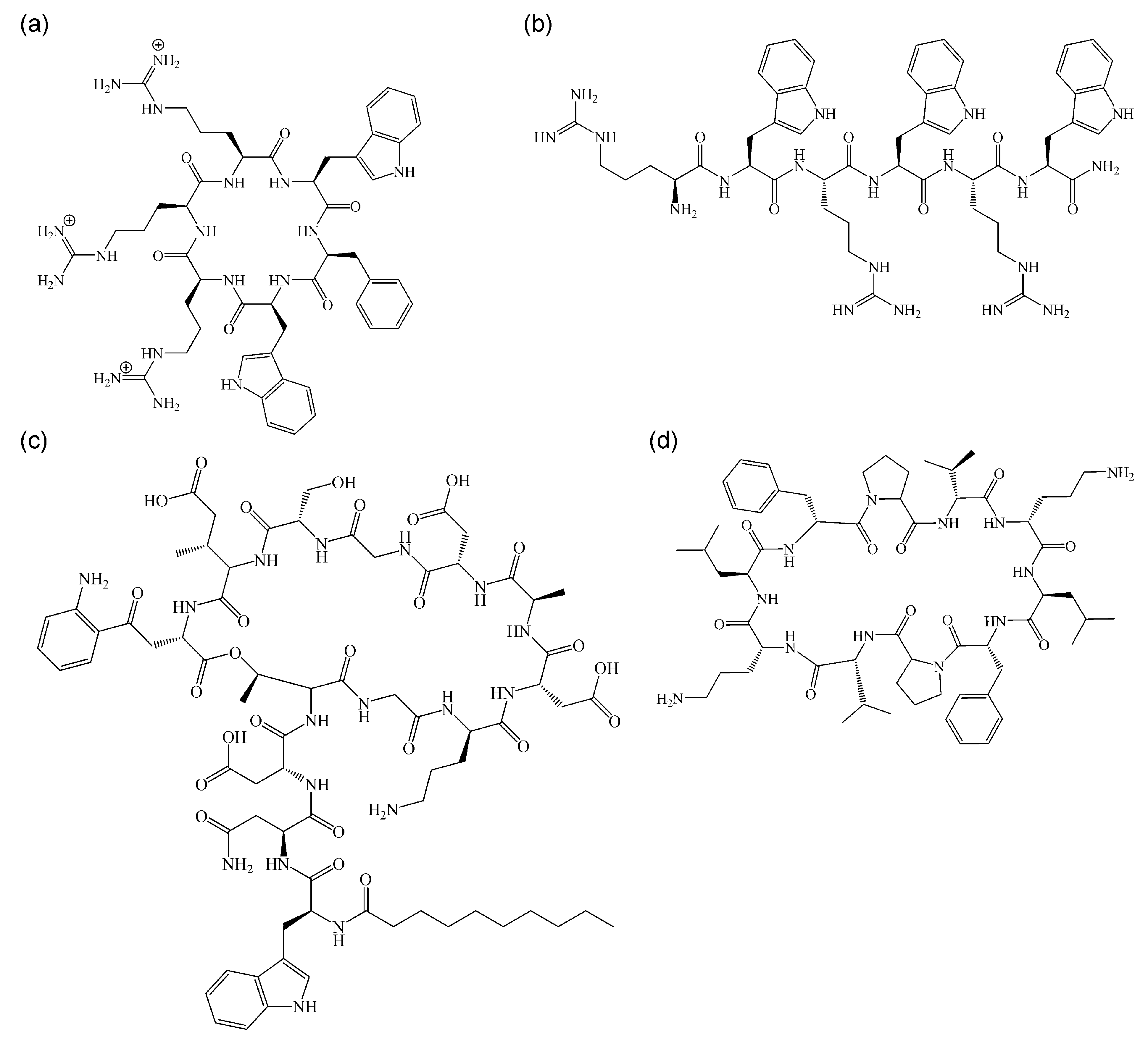 Antibiotics 13 00936 g004