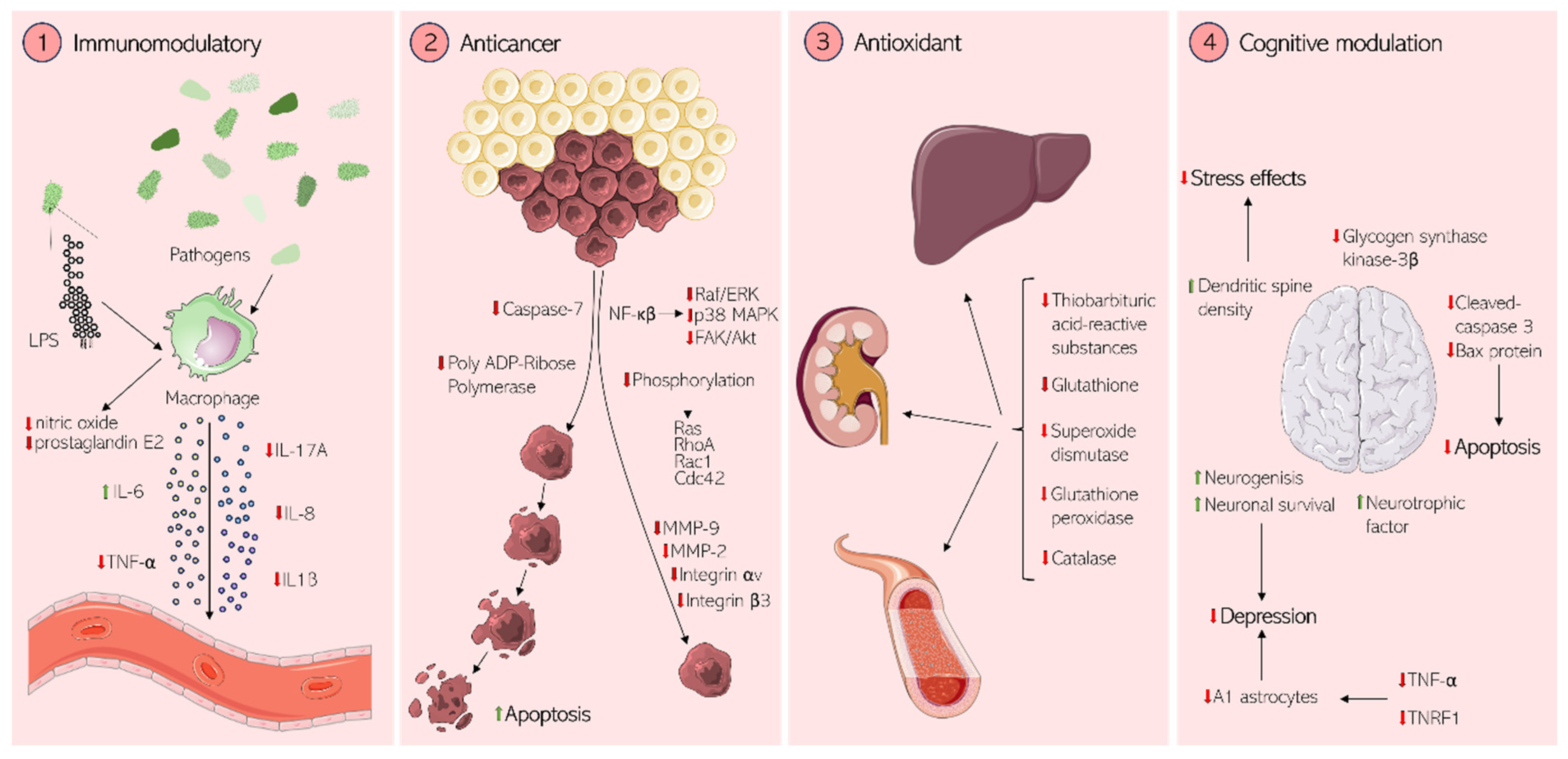 Antibiotics 13 00936 g007