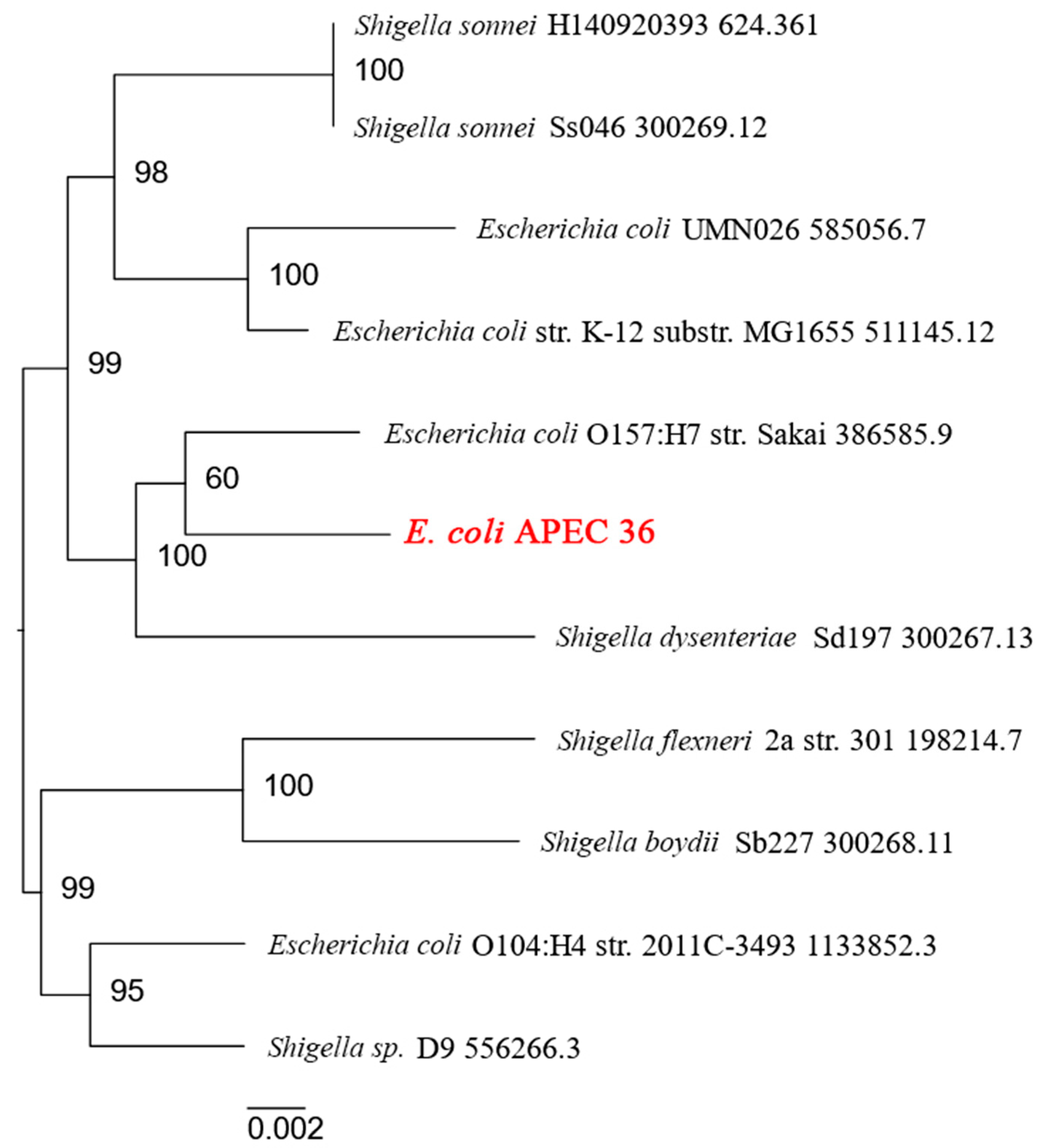 Antibiotics 13 00945 g001 Antibiotics 13 00945 g001