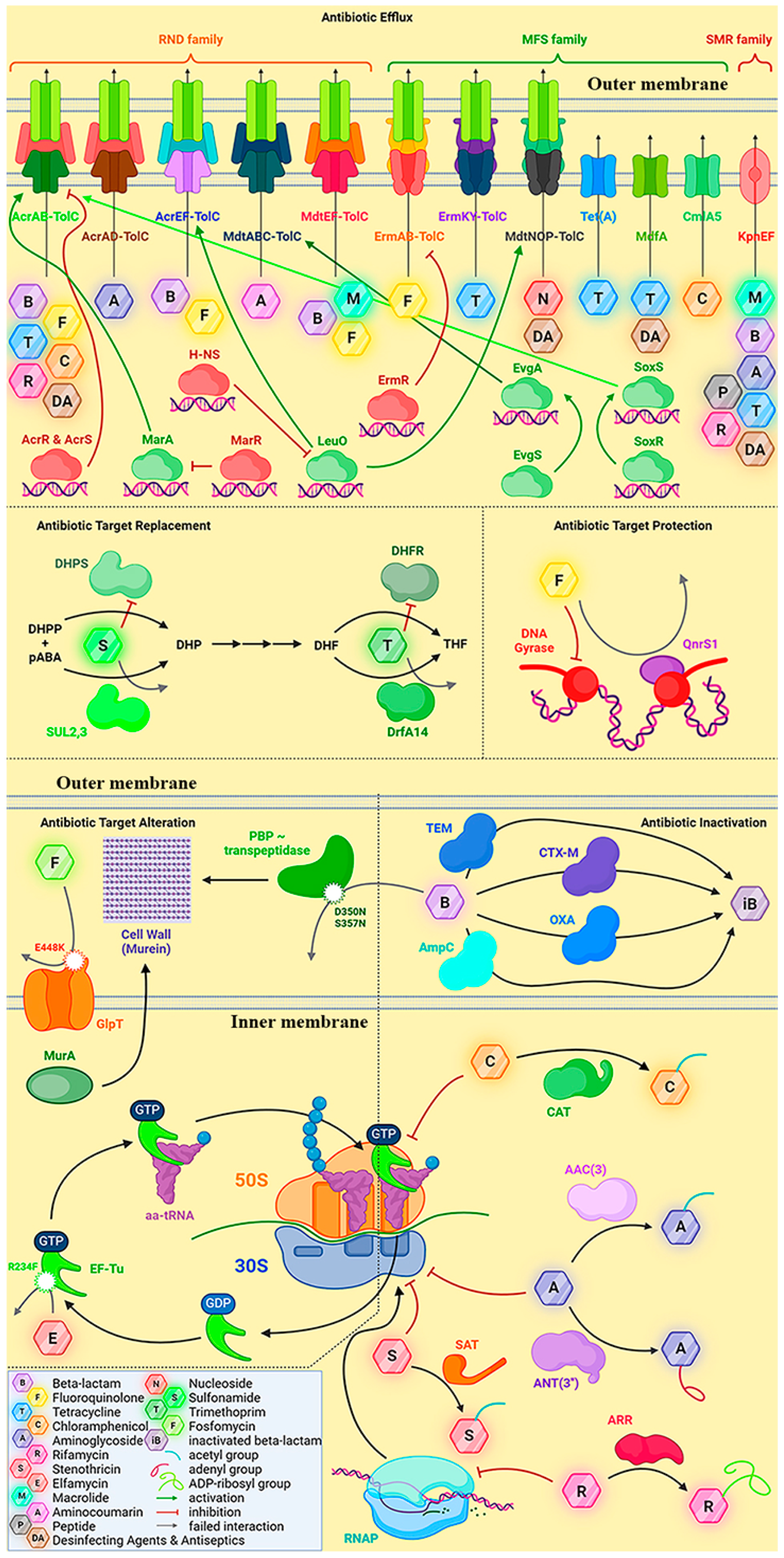 Antibiotics 13 00945 g002 Antibiotics 13 00945 g002