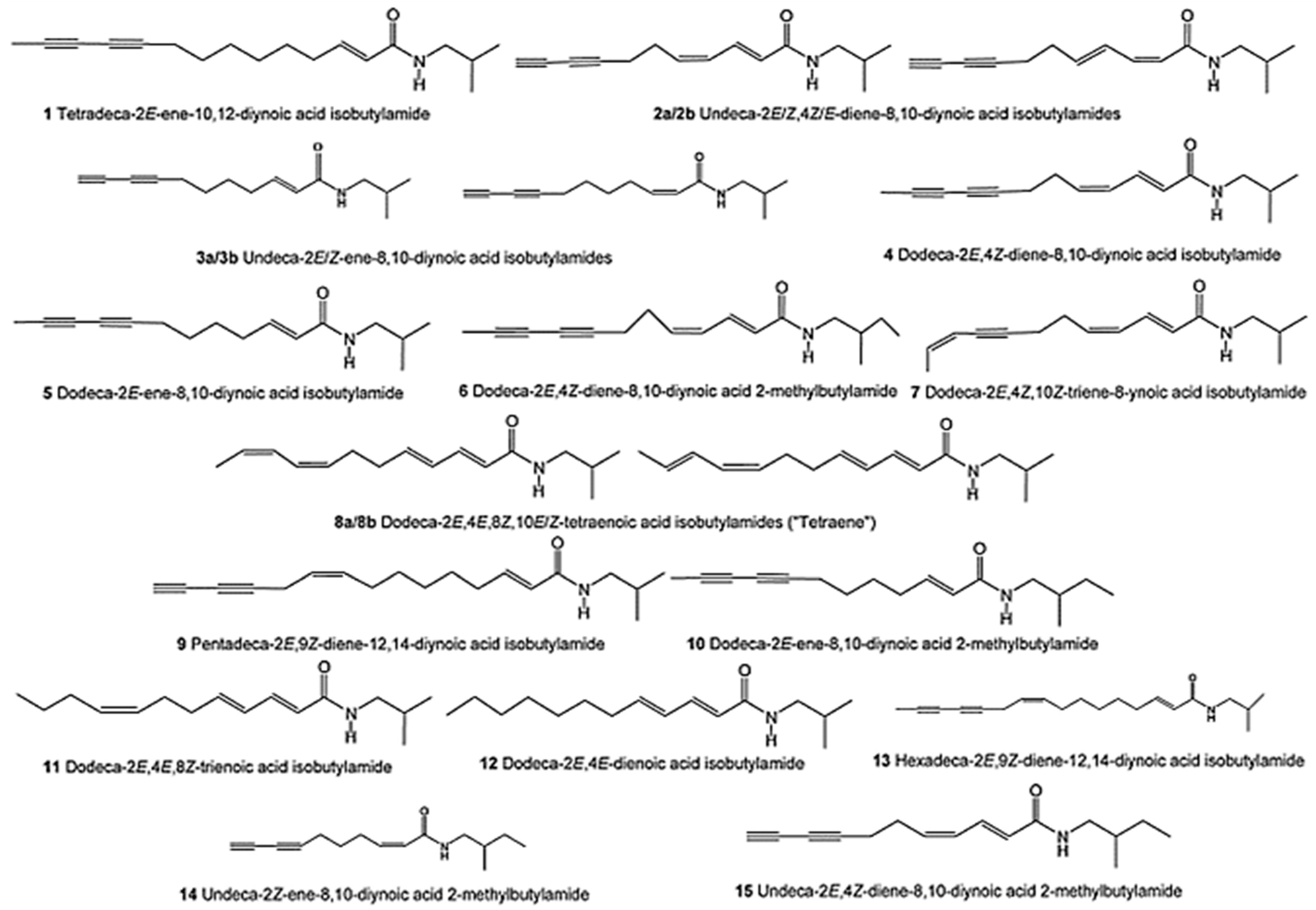 Antibiotics 13 00947 g002 Antibiotics 13 00947 g002