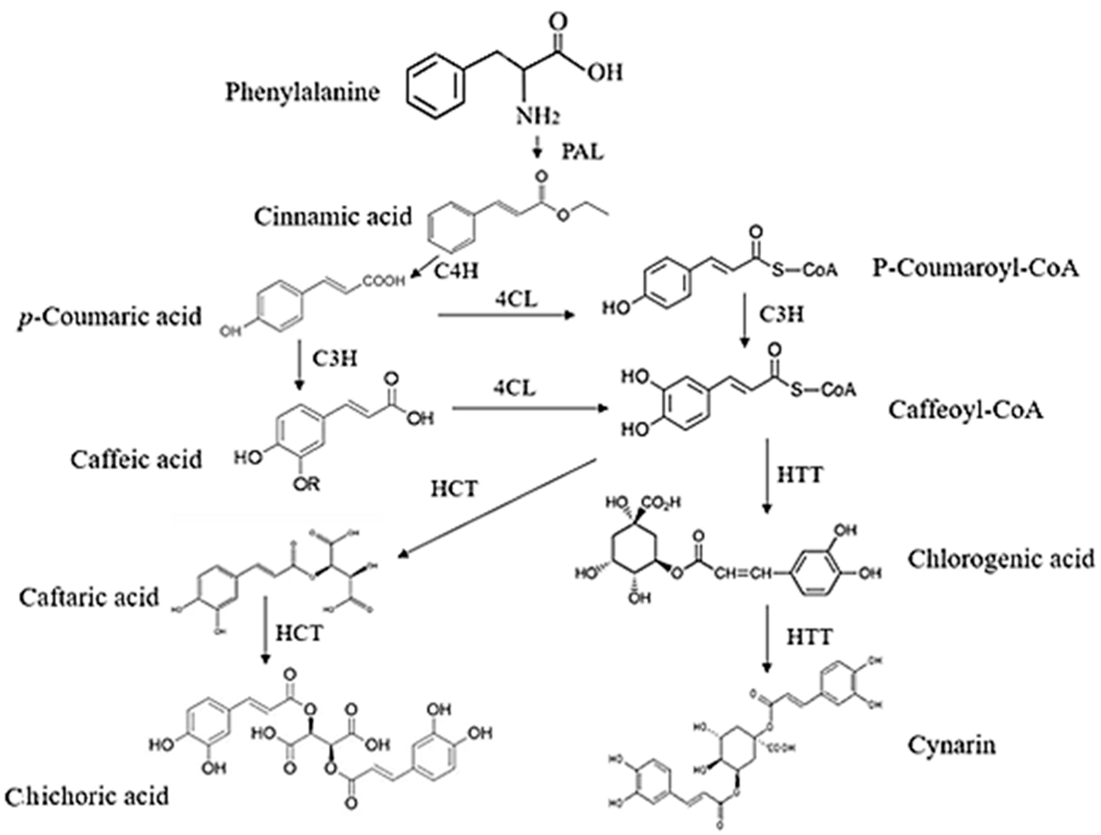 Antibiotics 13 00947 g004 Antibiotics 13 00947 g004