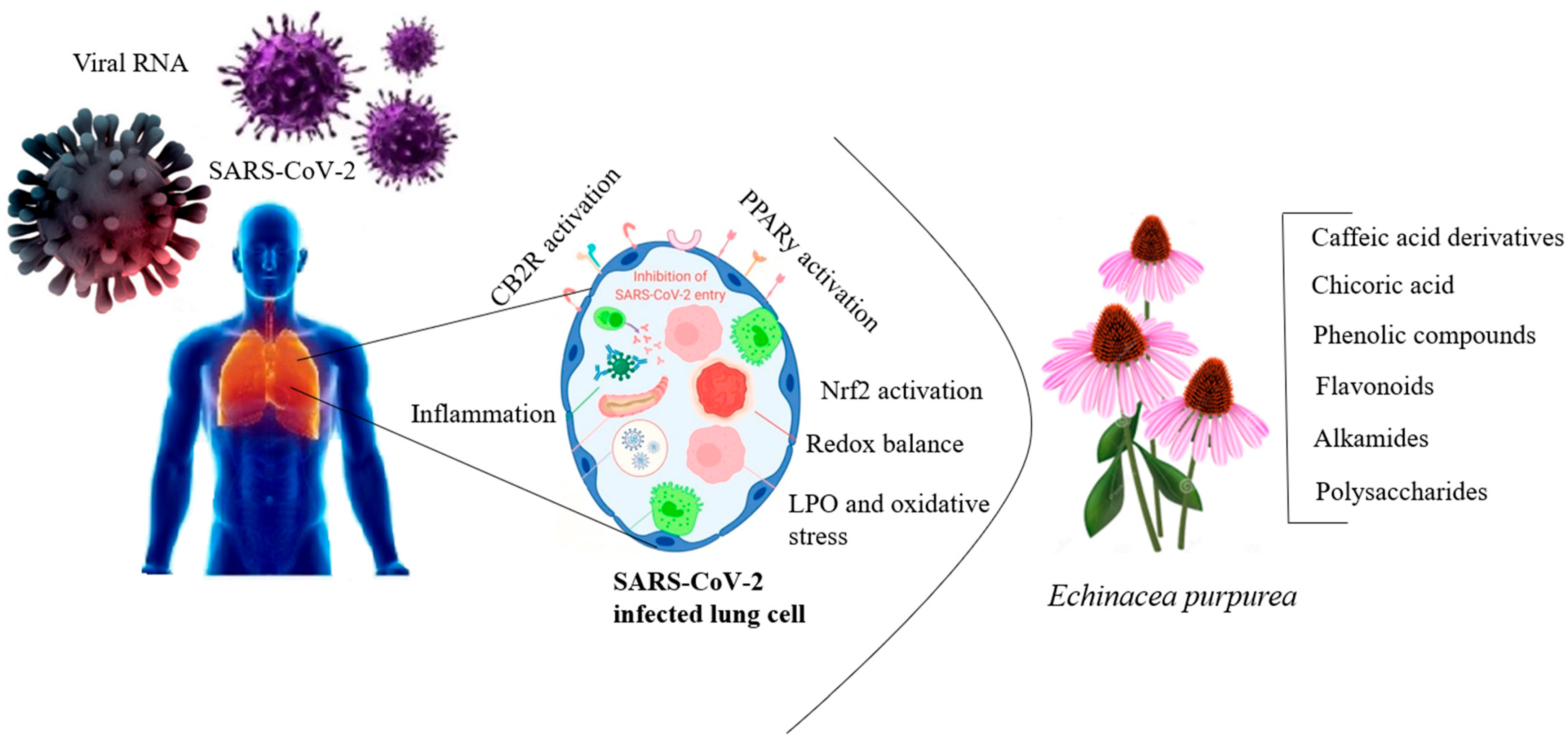 Antibiotics 13 00947 g005 Antibiotics 13 00947 g005